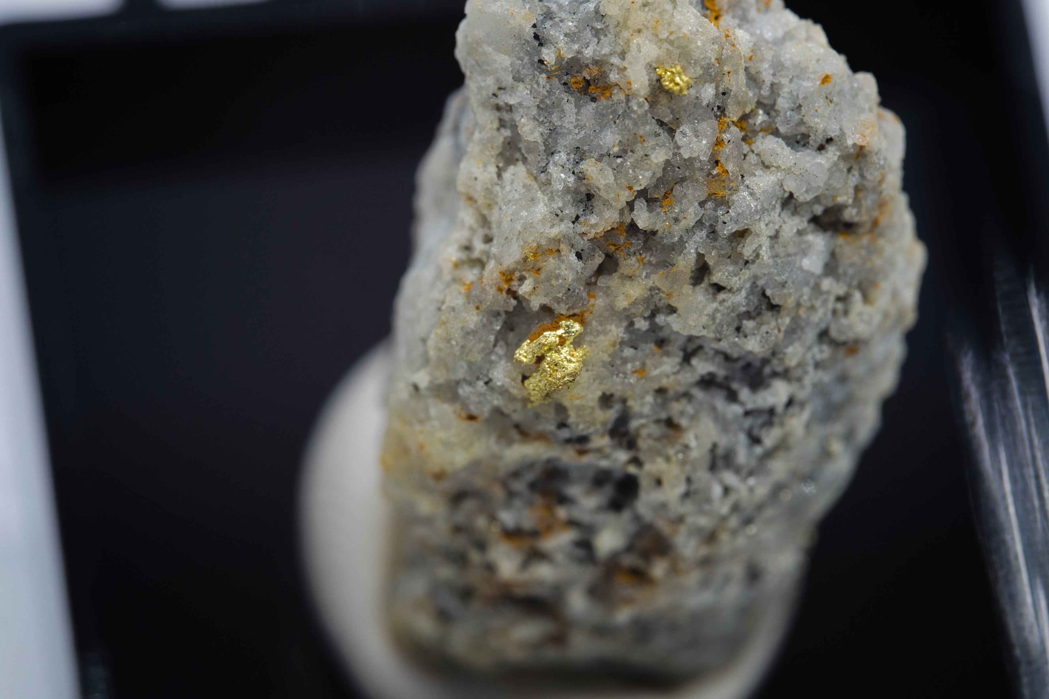 Oro – Zlate hory, CZ - ZL158