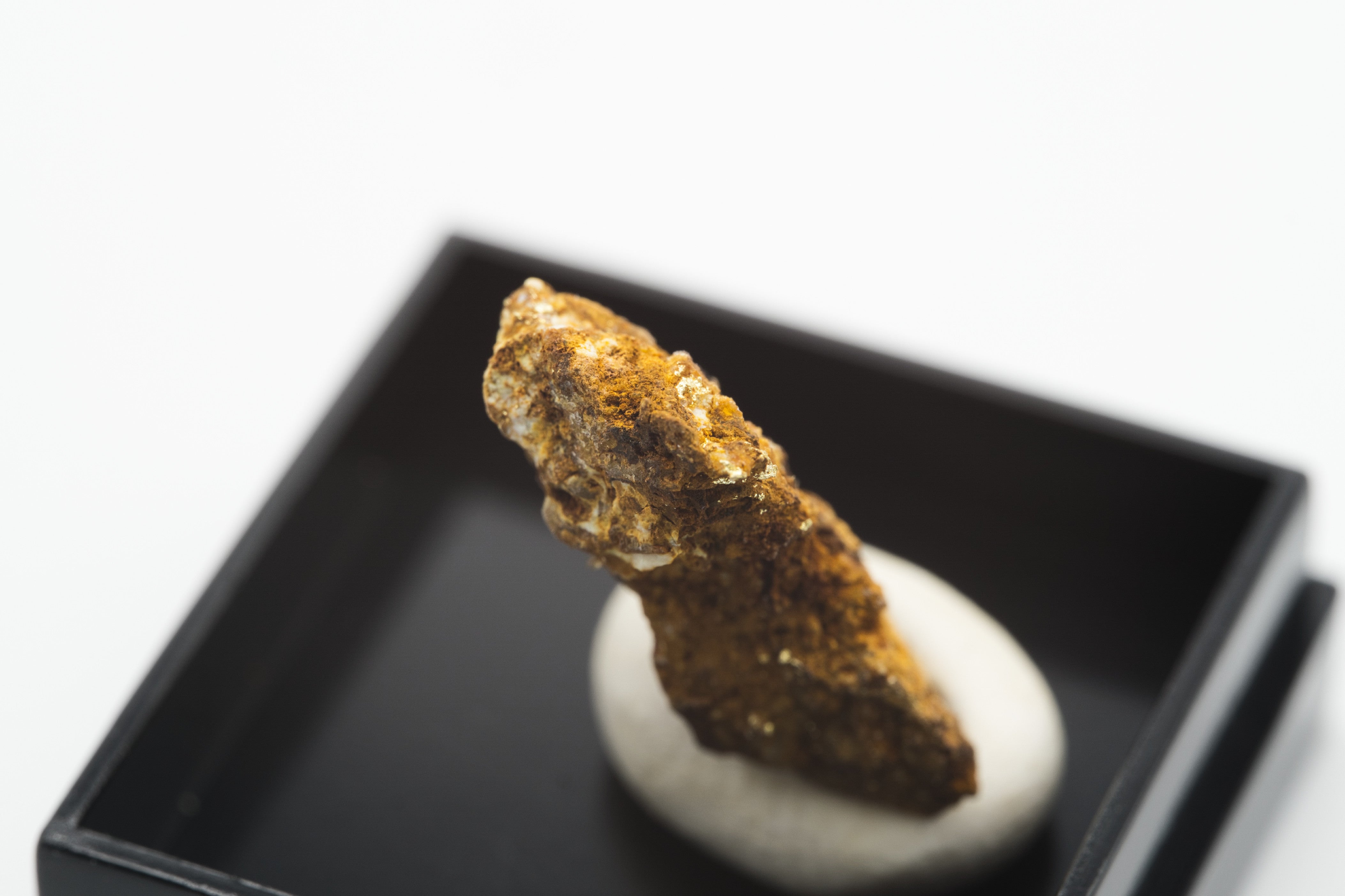 Gold – Zlate hory, CZ - ZL164