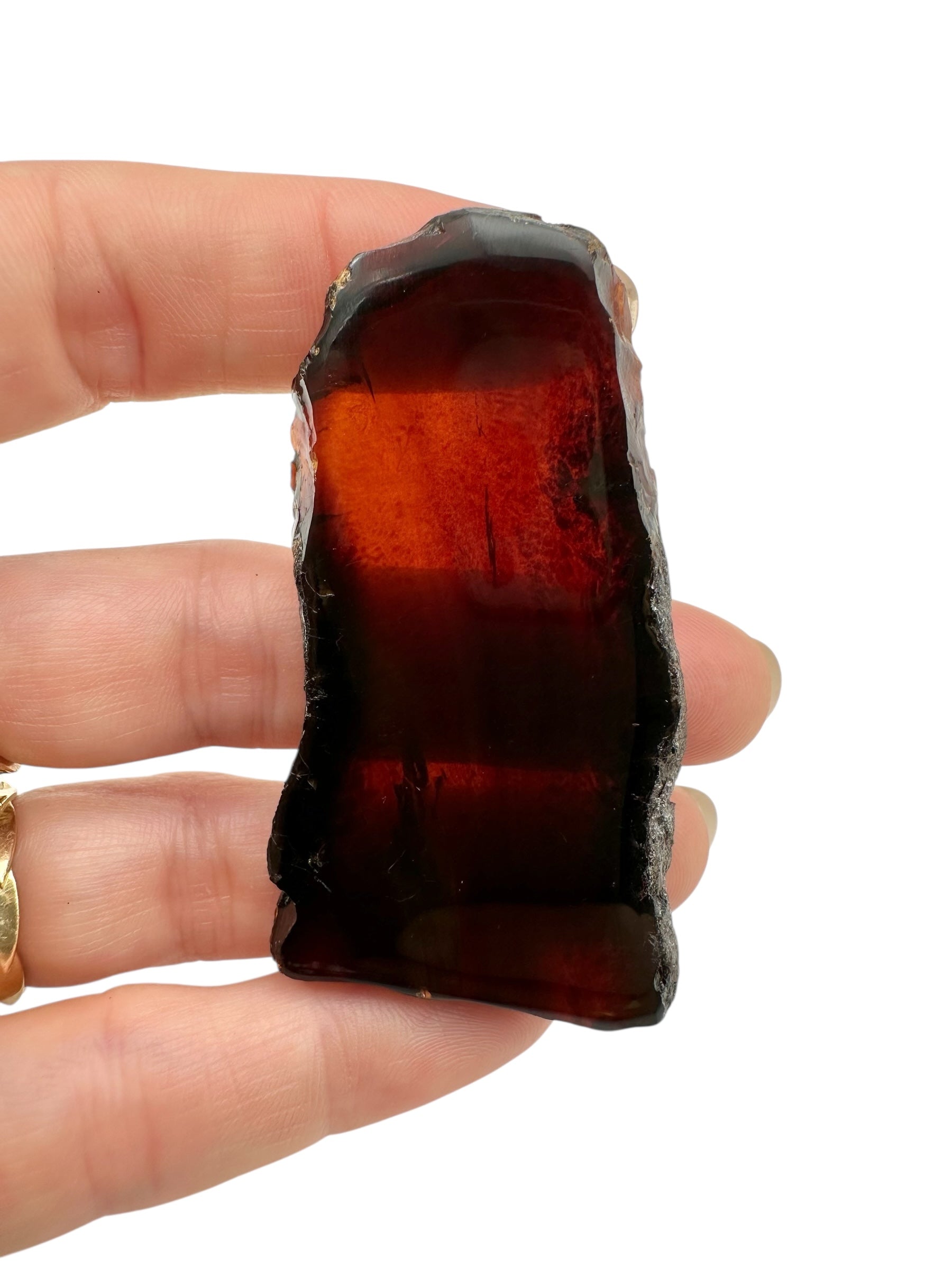Amber slice – Sumatra, Indonesia