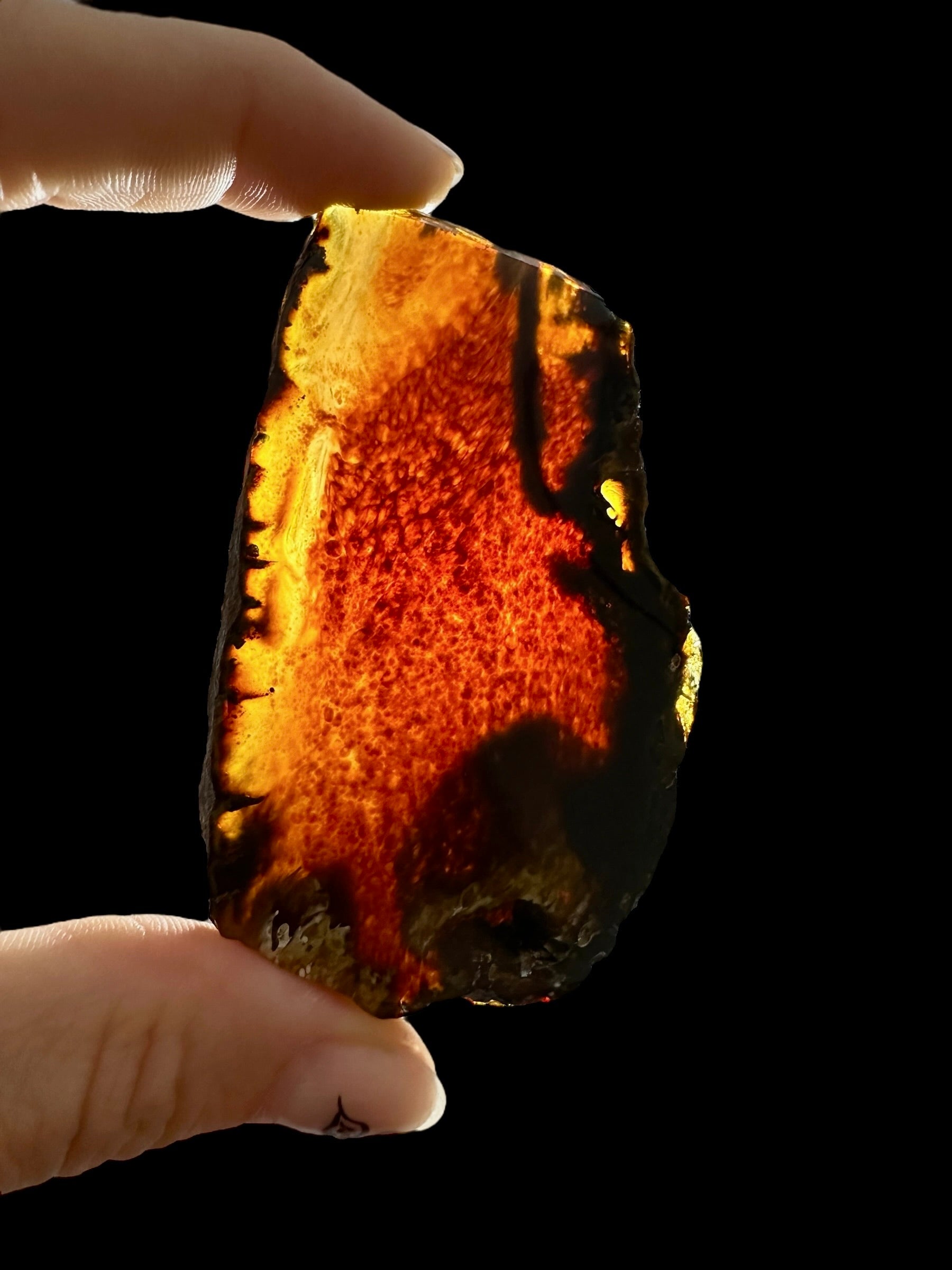 Amber slice – Sumatra, Indonesia - JN315