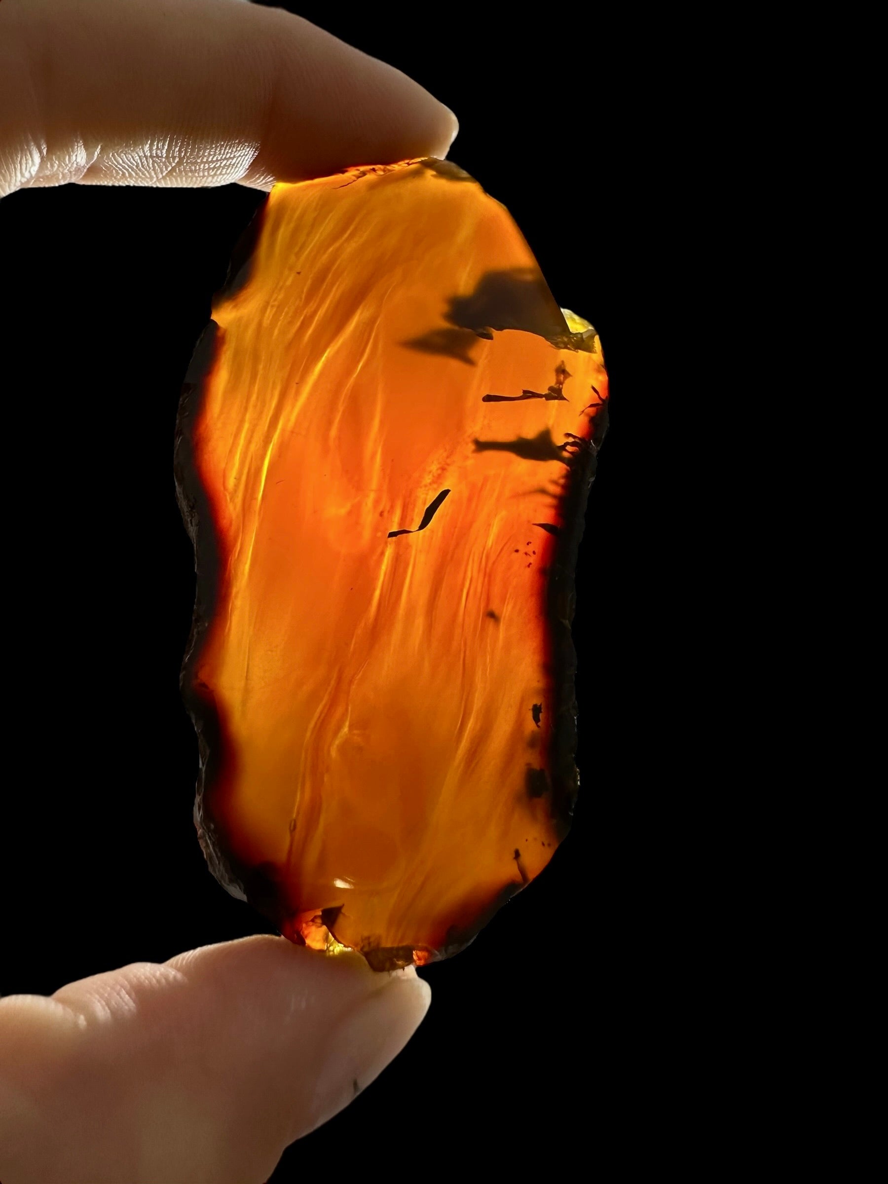 Amber slice – Sumatra, Indonesia - JN316