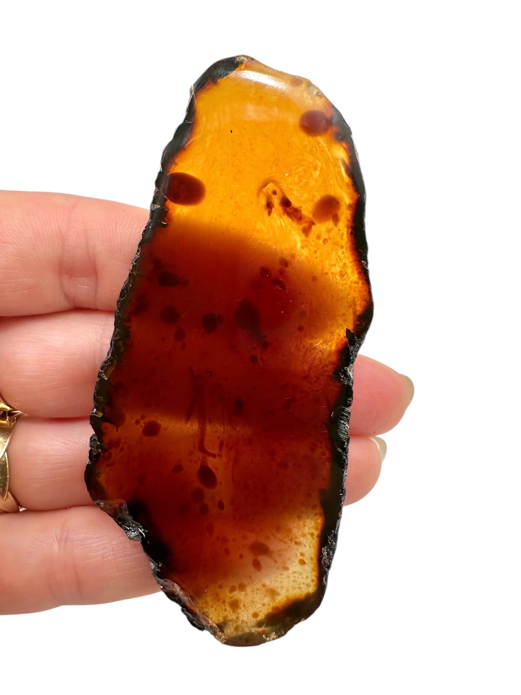 Amber slice – Sumatra, Indonesia - JN317