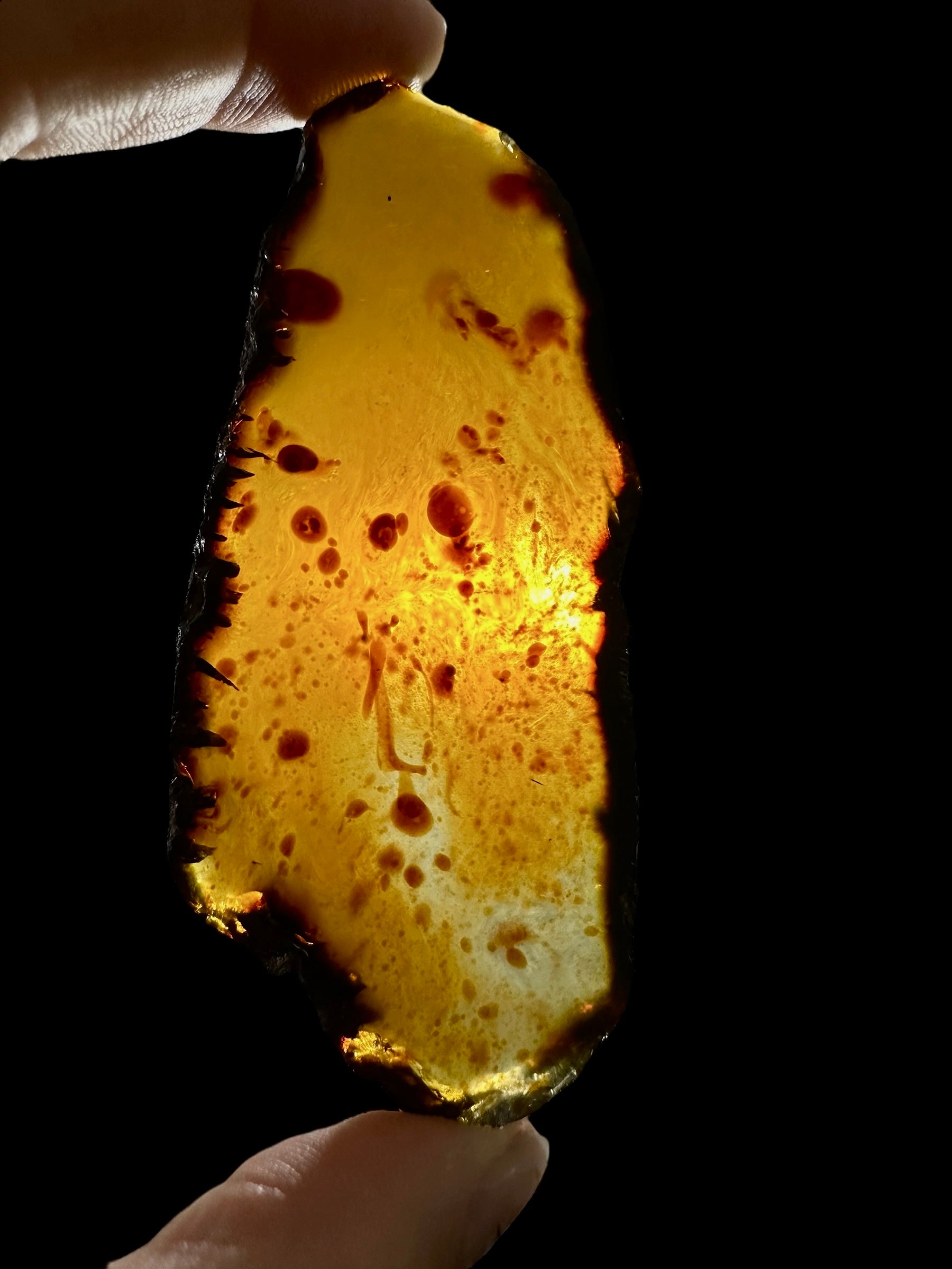 Amber slice – Sumatra, Indonesia - JN317