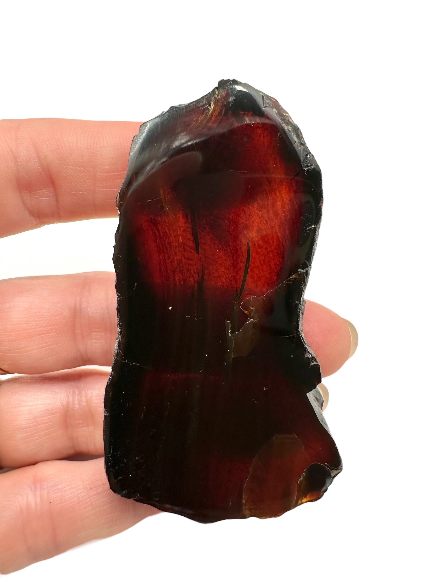 Amber slice – Sumatra, Indonesia