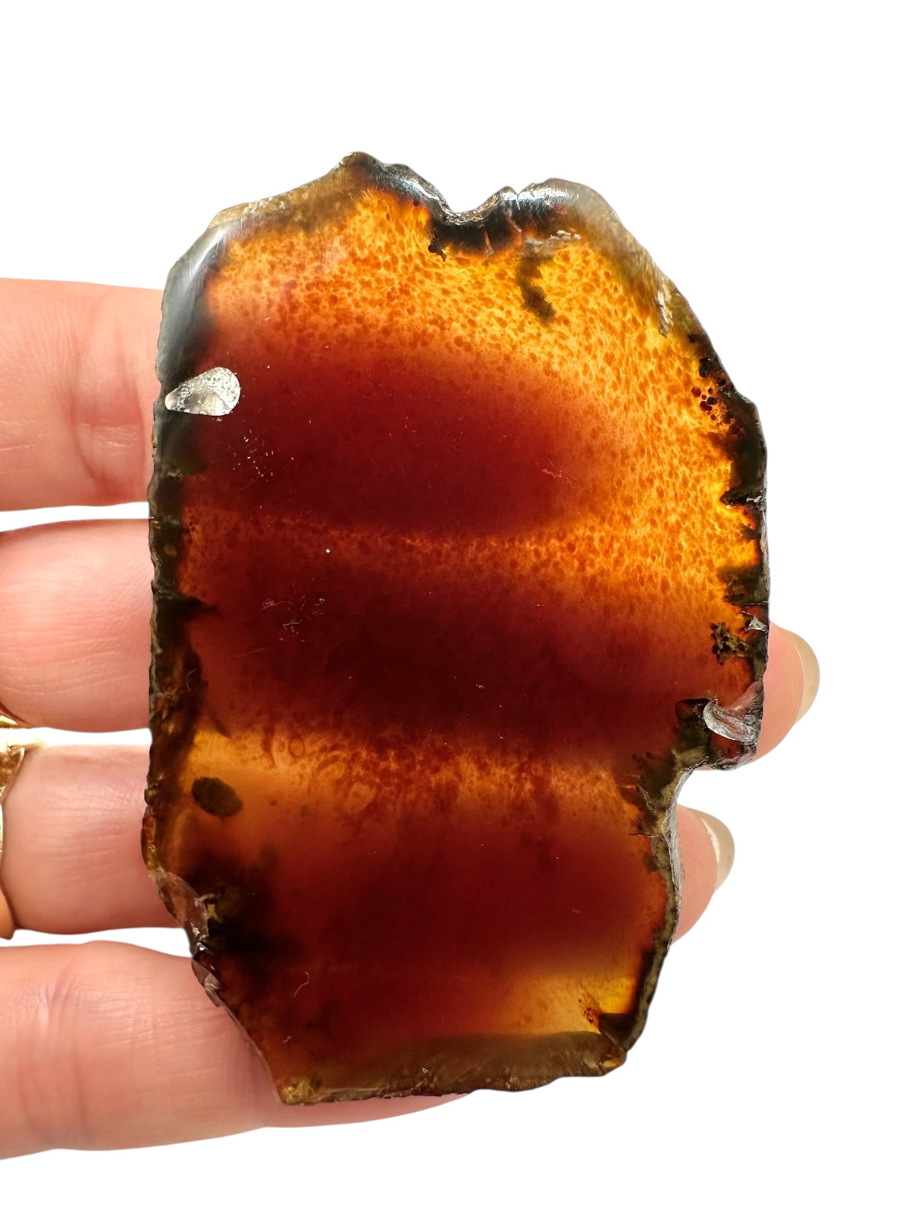 Amber slice – Sumatra, Indonesia - JN320