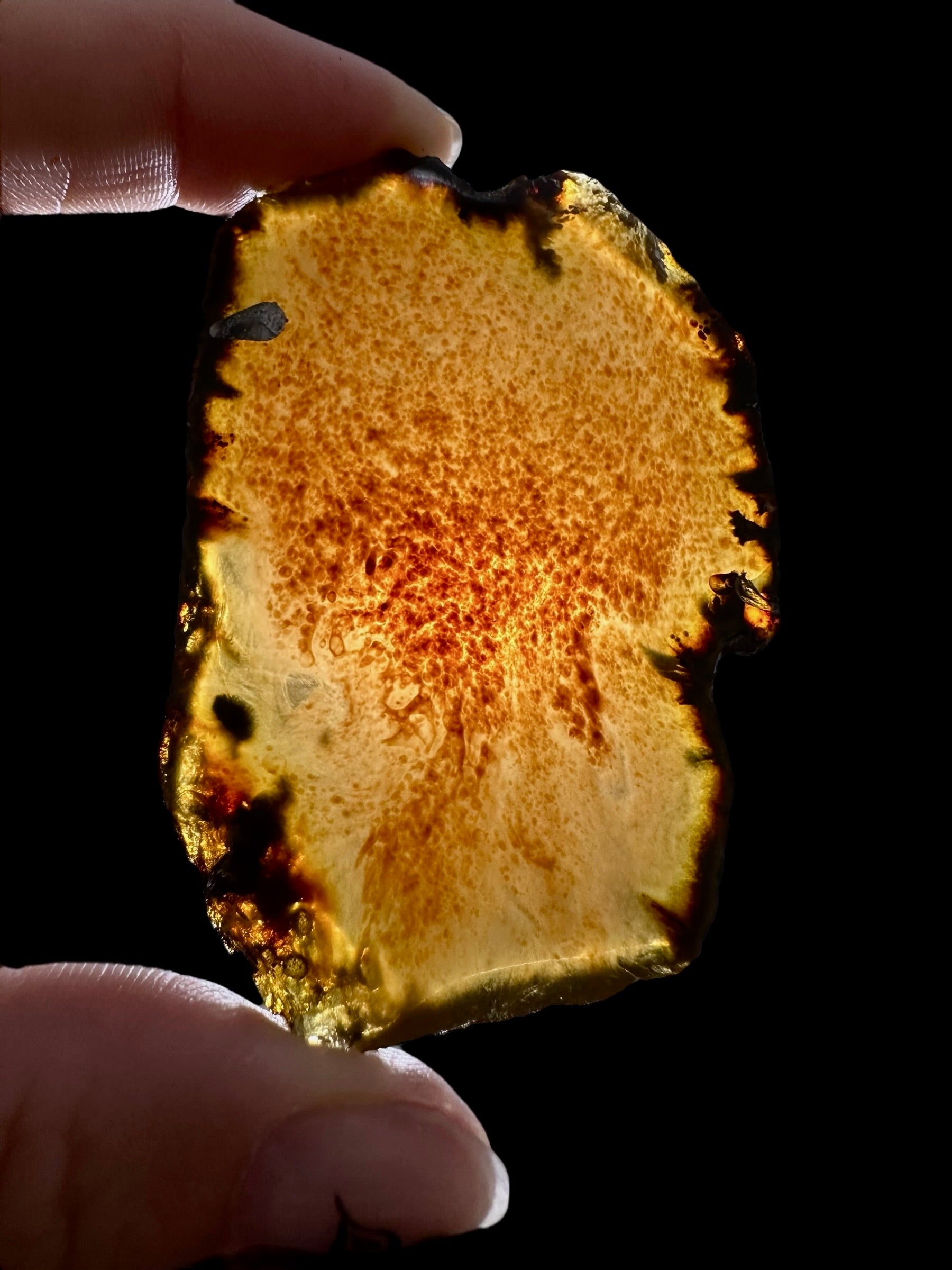 Amber slice – Sumatra, Indonesia - JN320