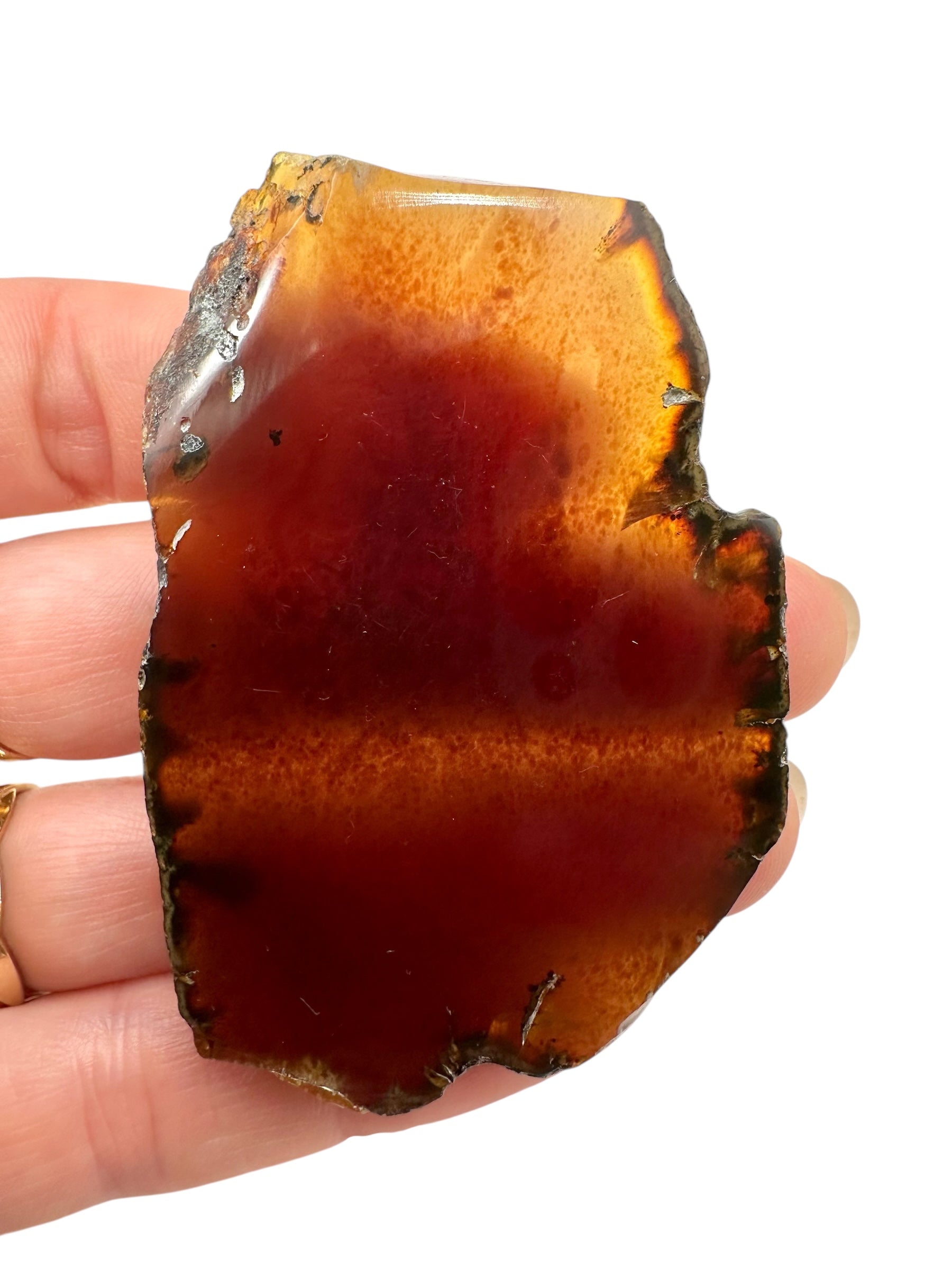 Amber slice – Sumatra, Indonesia