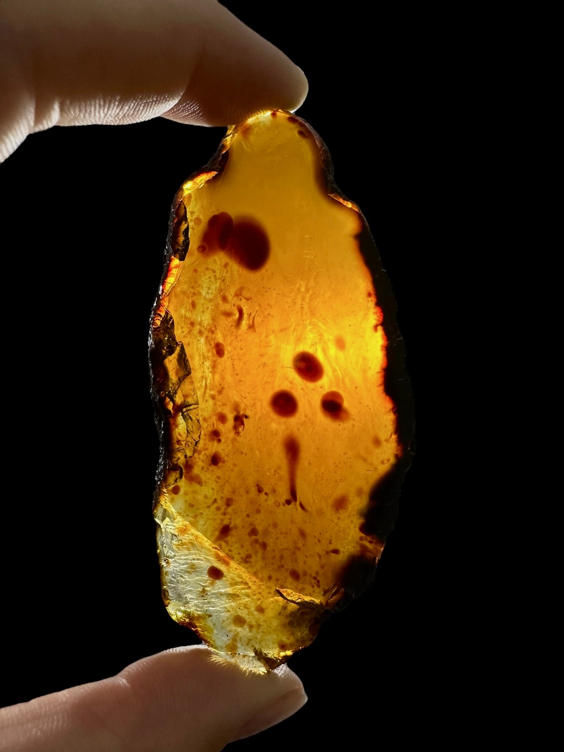 Amber slice – Sumatra, Indonesia - JN322