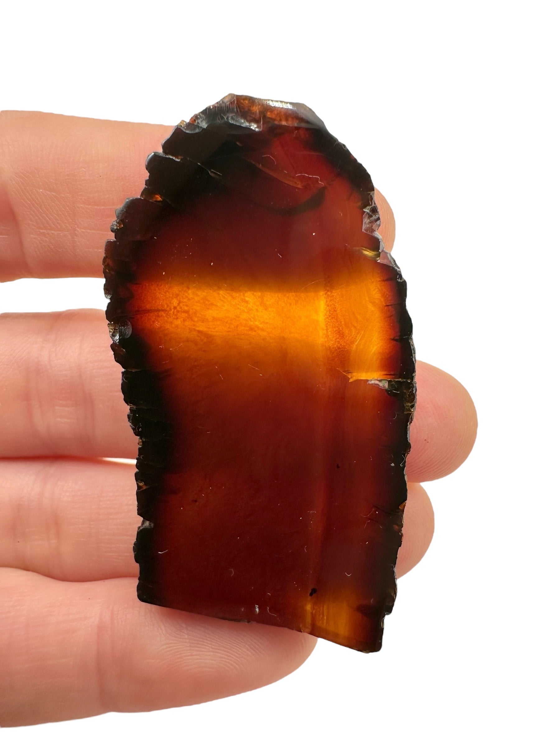 Amber slice – Sumatra, Indonesia - JN323