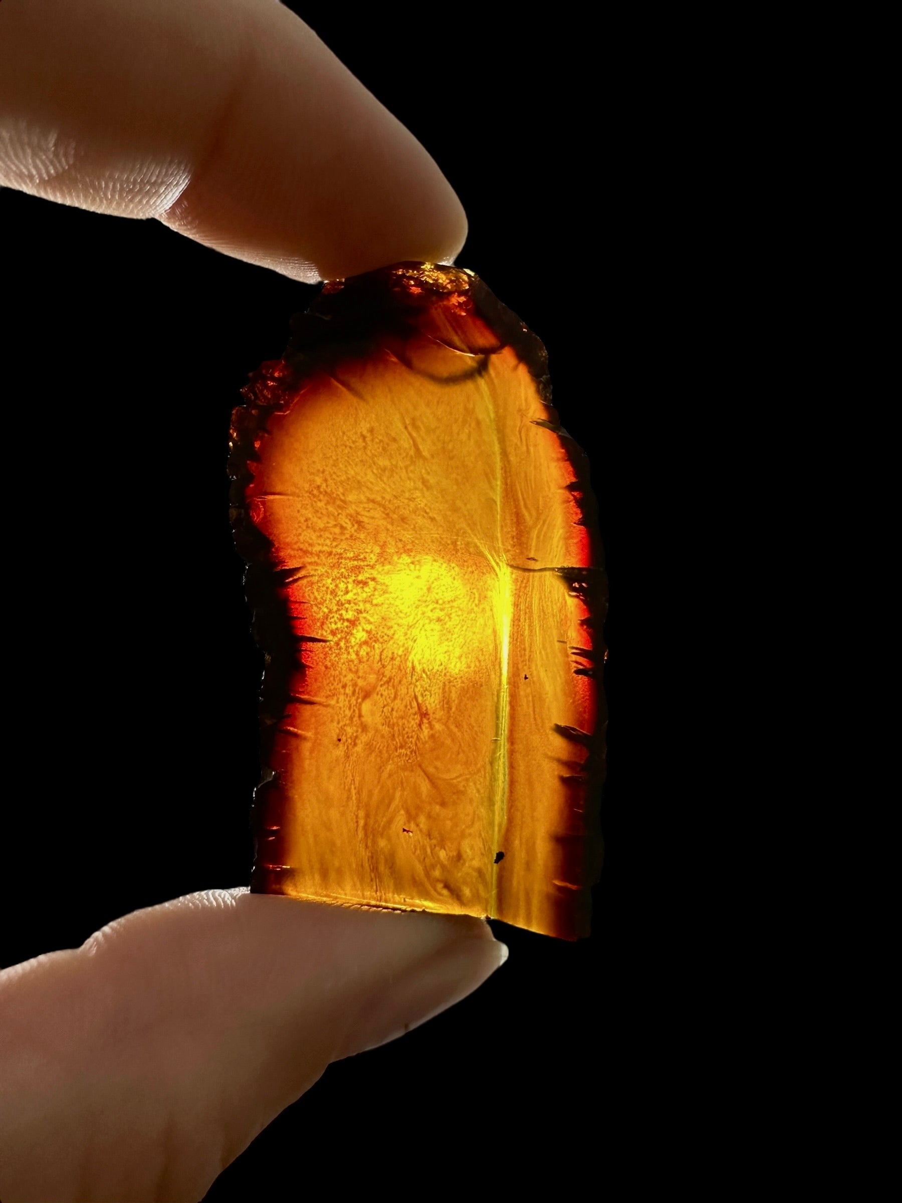 Amber slice – Sumatra, Indonesia - JN323