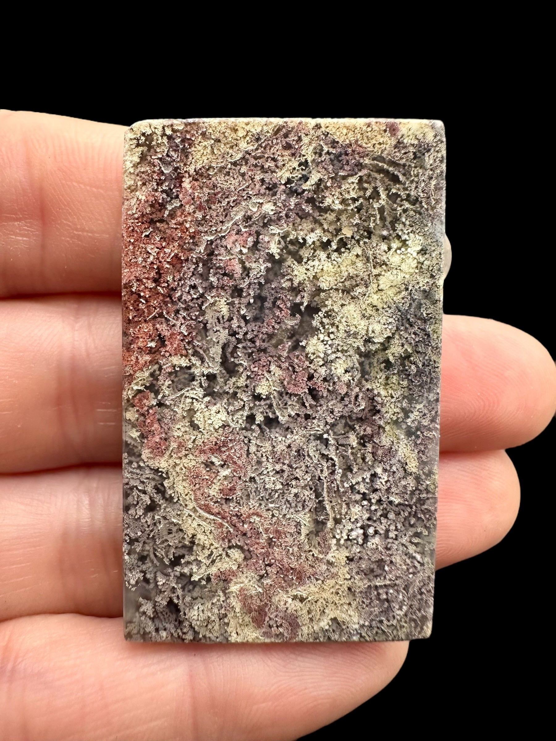 Moos agate plate – West Java, Indonesia