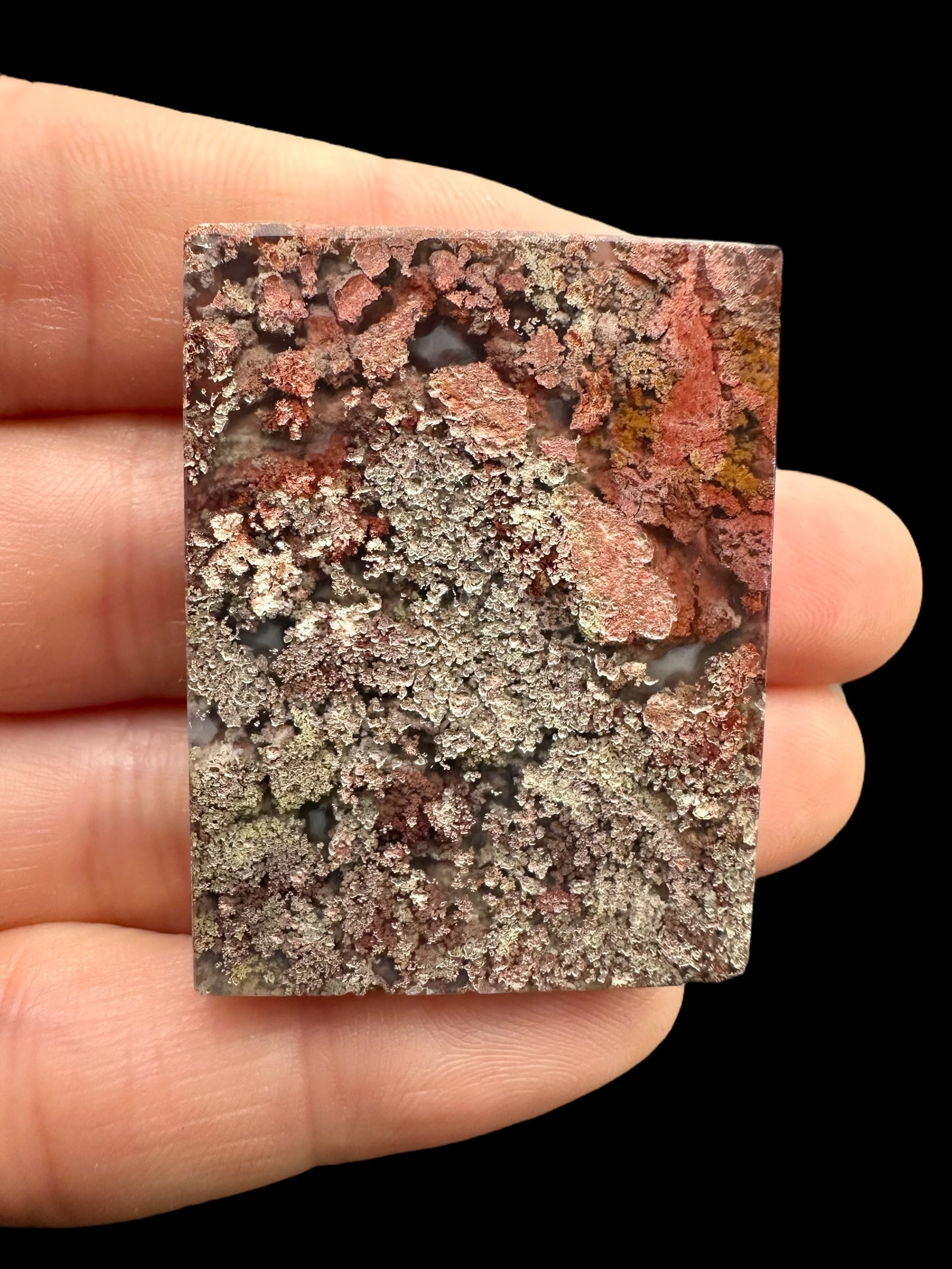 Moos agate plate – West Java, Indonesia