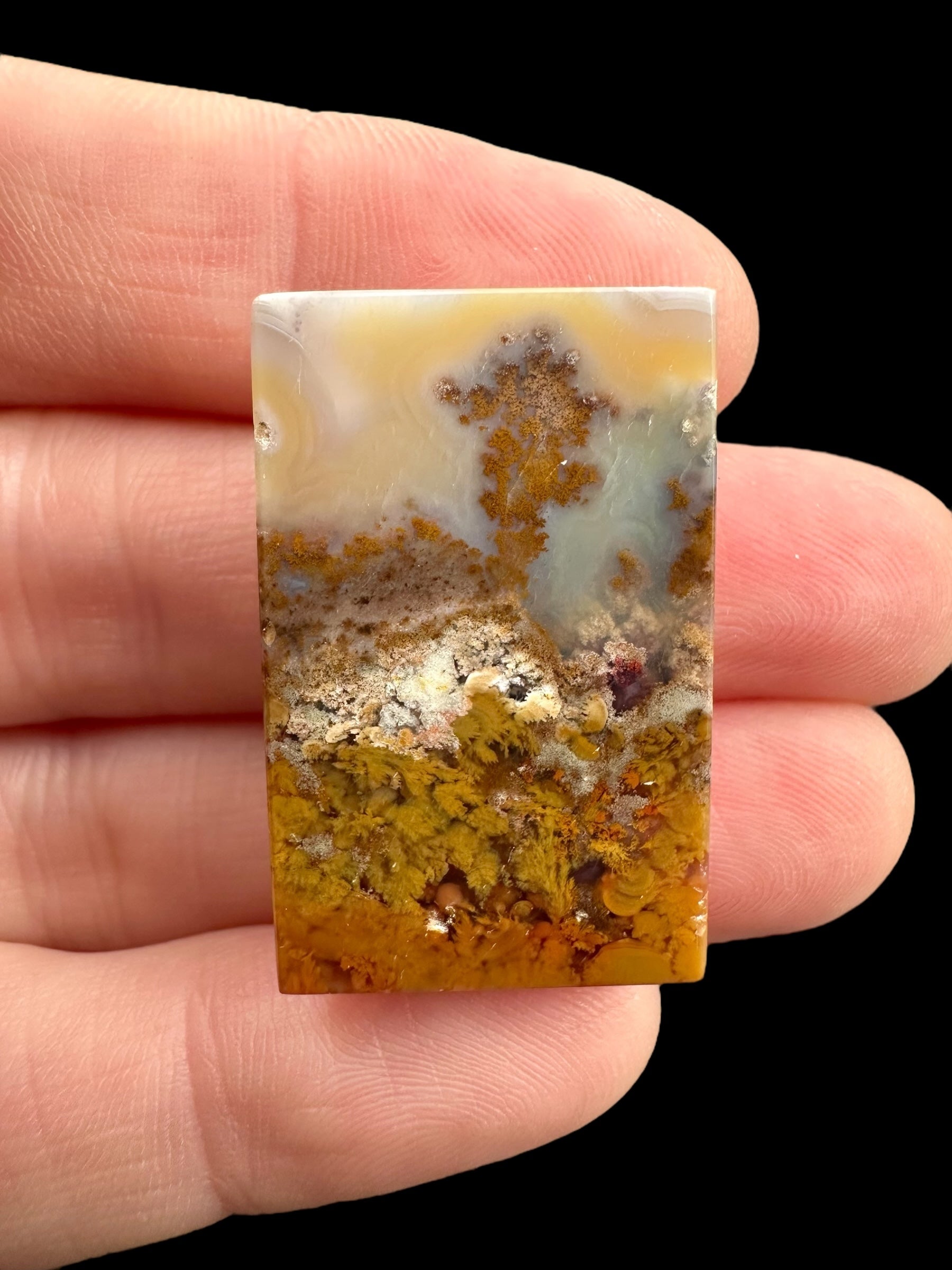 Moos agate cabochon – West Java, Indonesia - MECH149