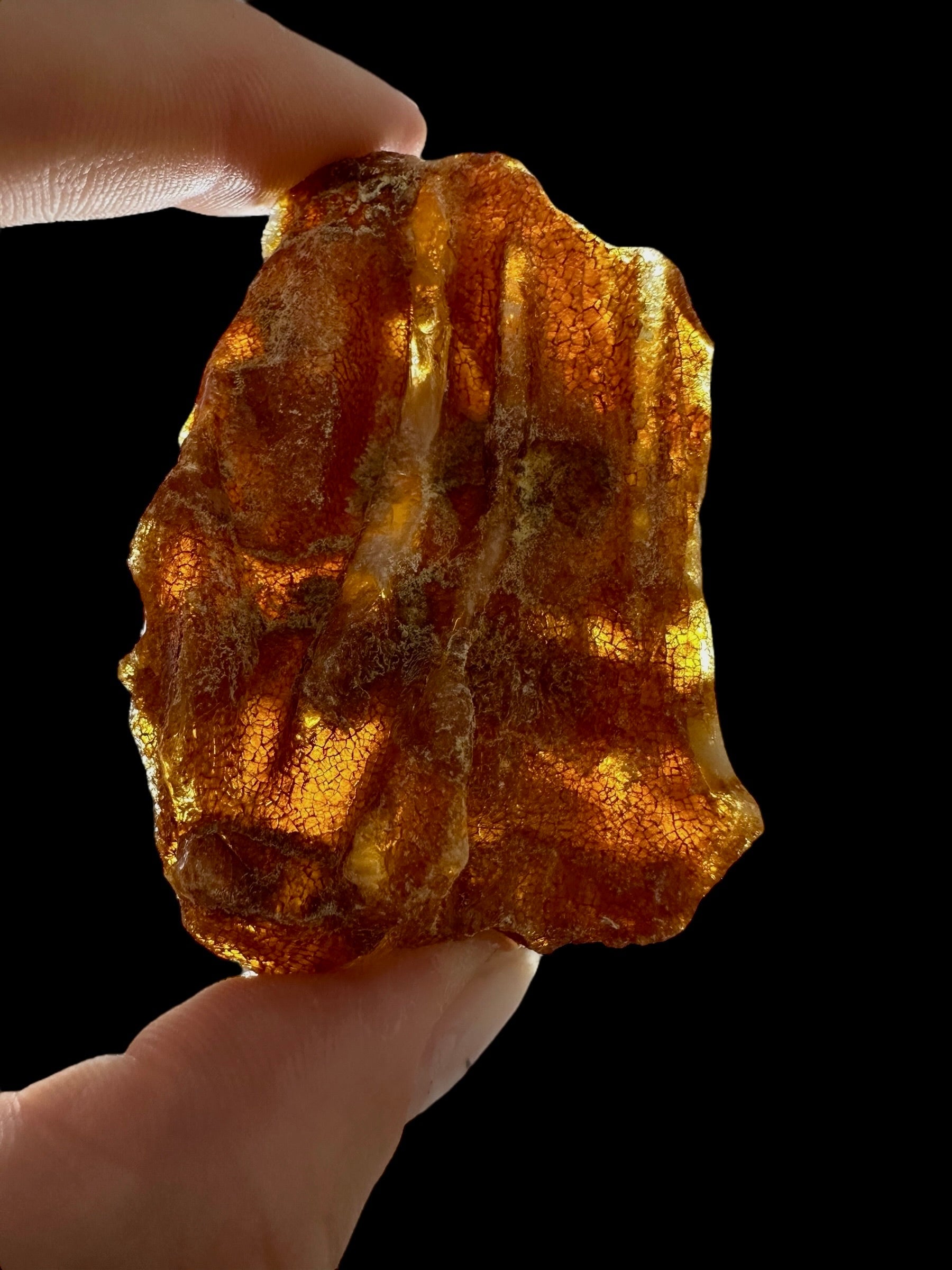Raw Young Amber (Copal) – Colombia - JN327
