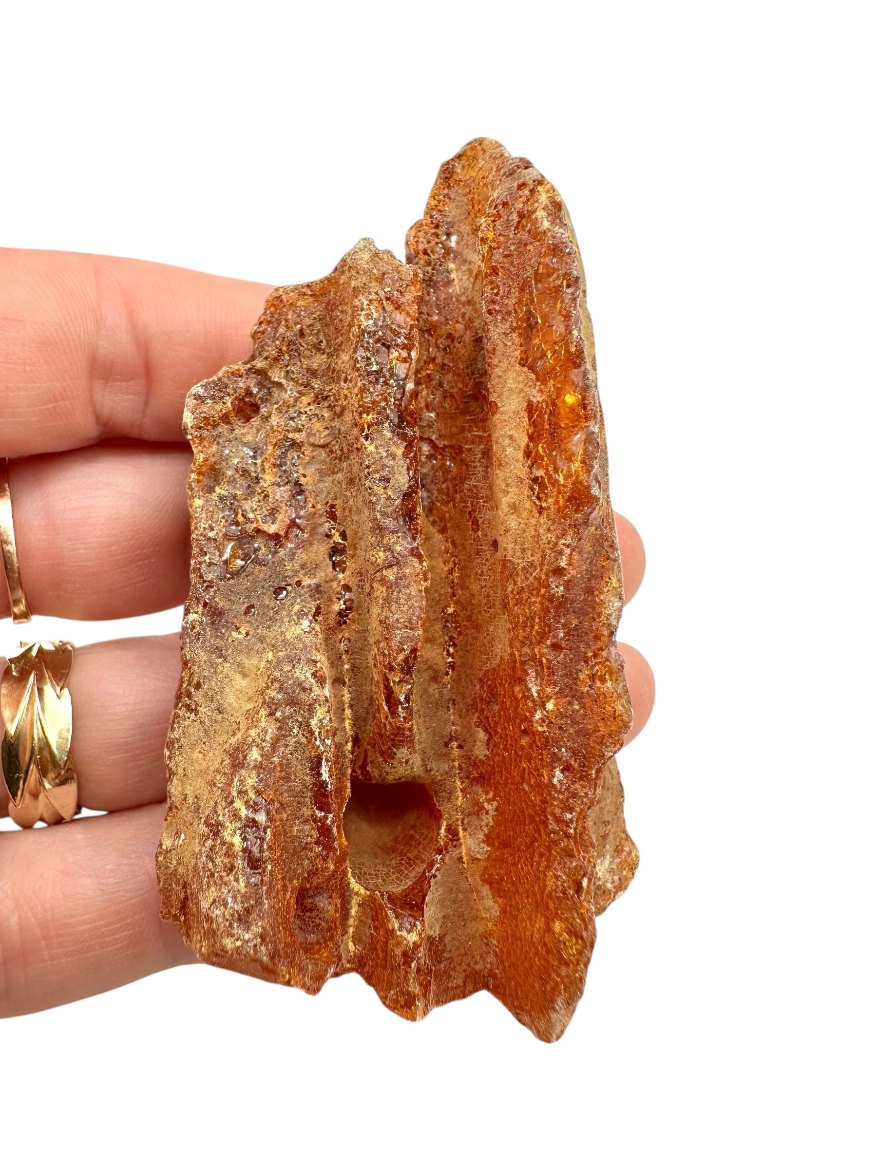 Raw Young Amber (Copal) – Colombia