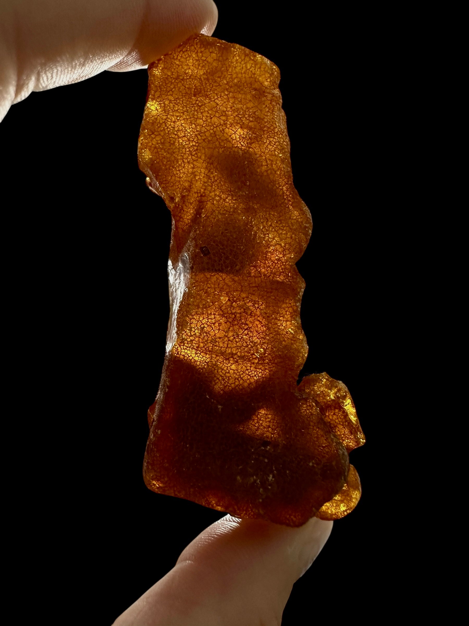 Raw Young Amber (Copal) – Colombia - JN329