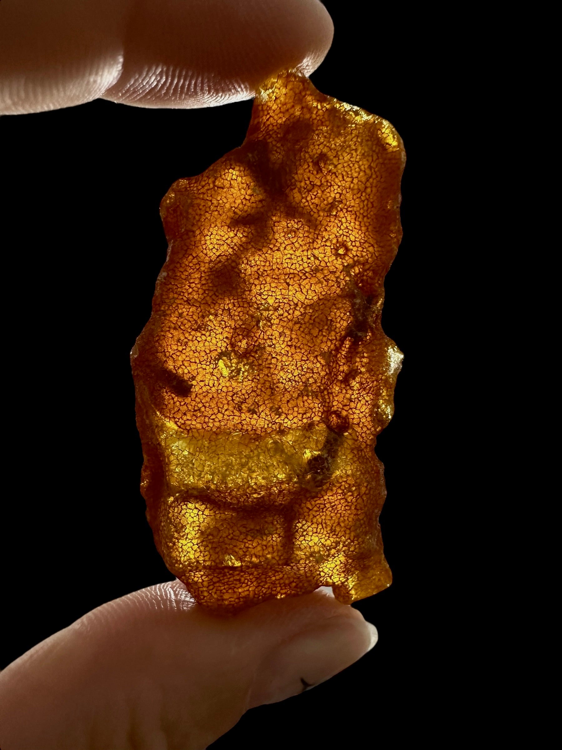 Raw Young Amber (Copal) – Colombia - JN331