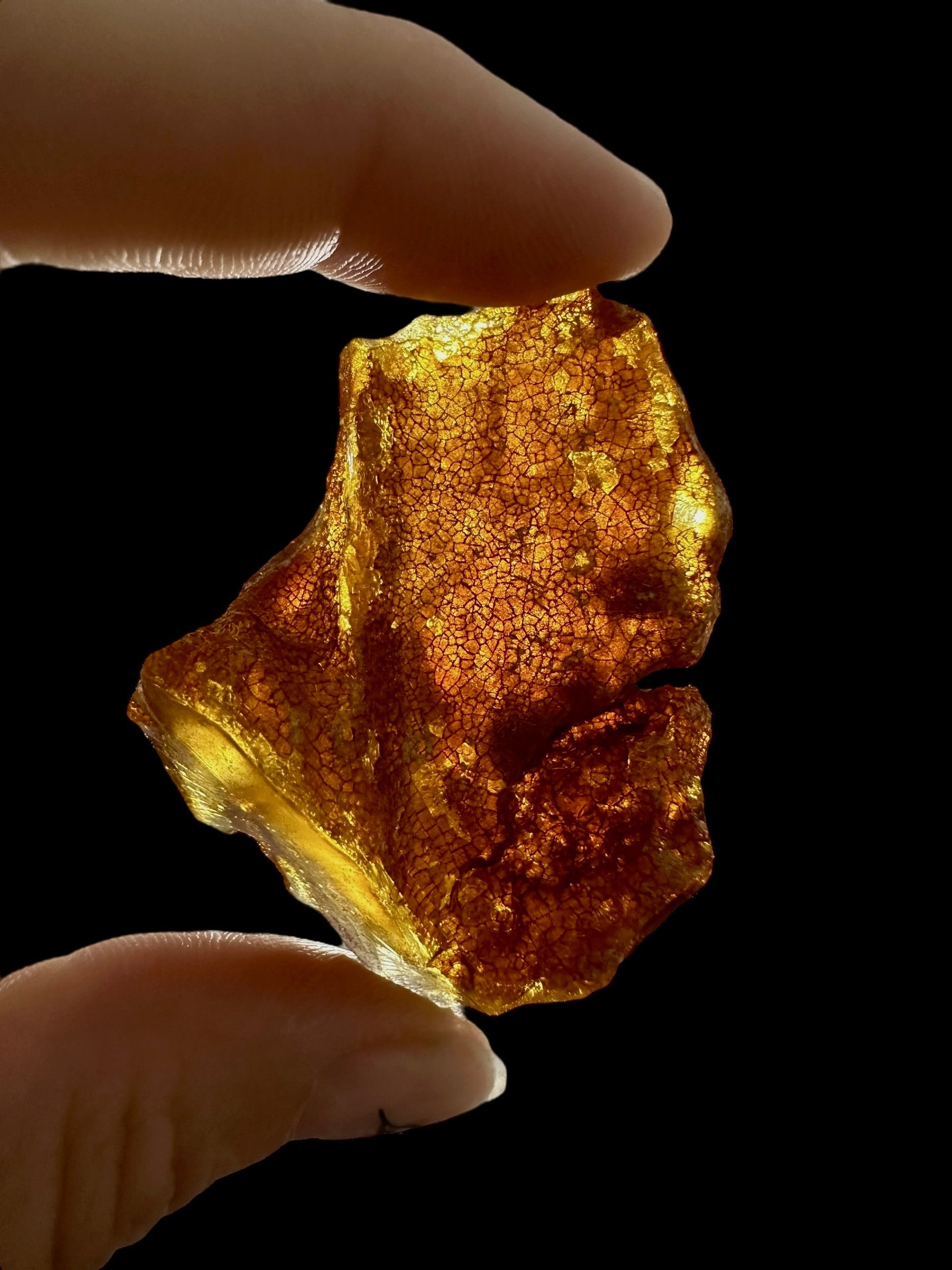 Raw Young Amber (Copal) – Colombia - JN333