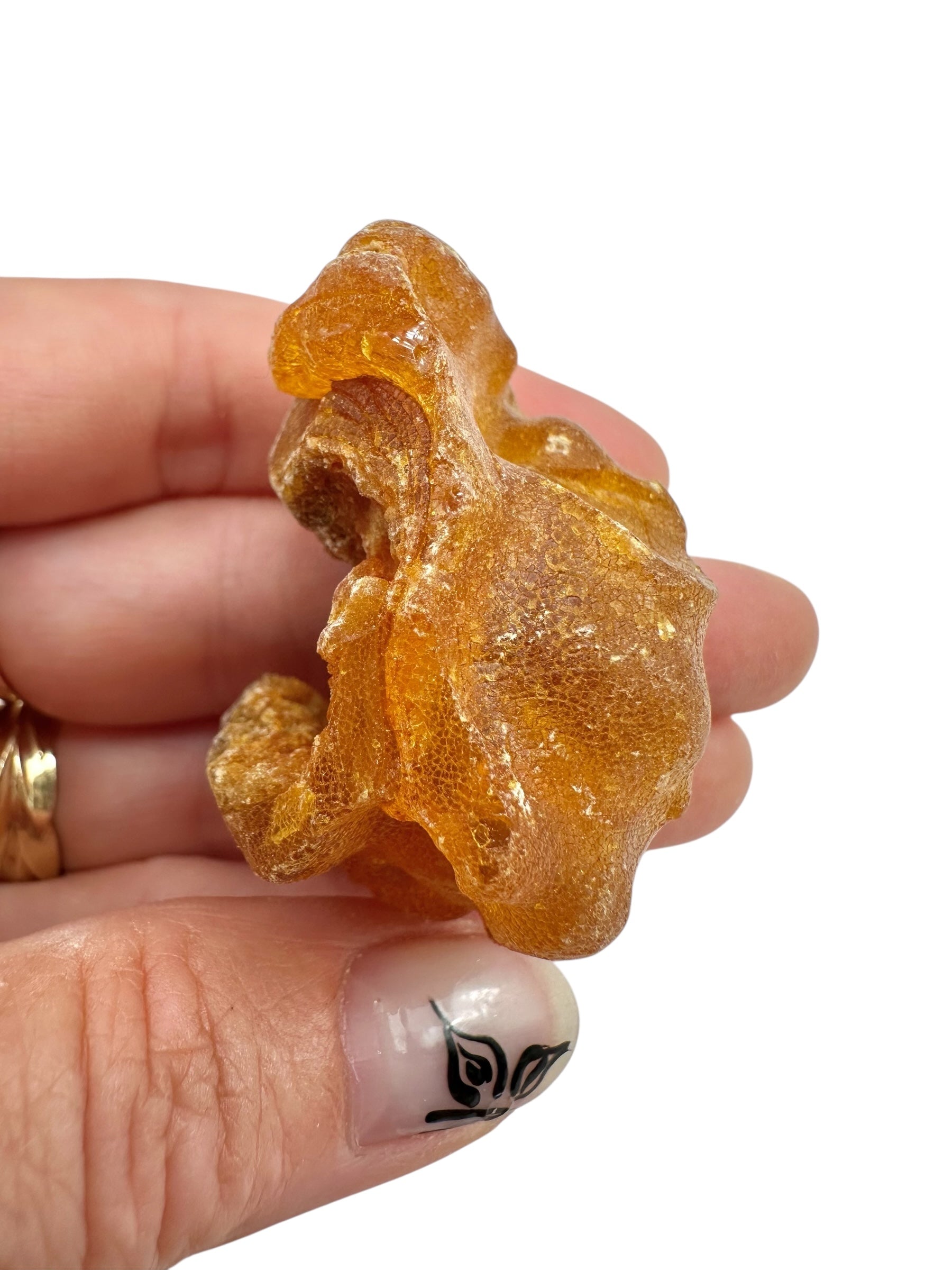 Raw Young Amber (Copal) – Colombia - JN336