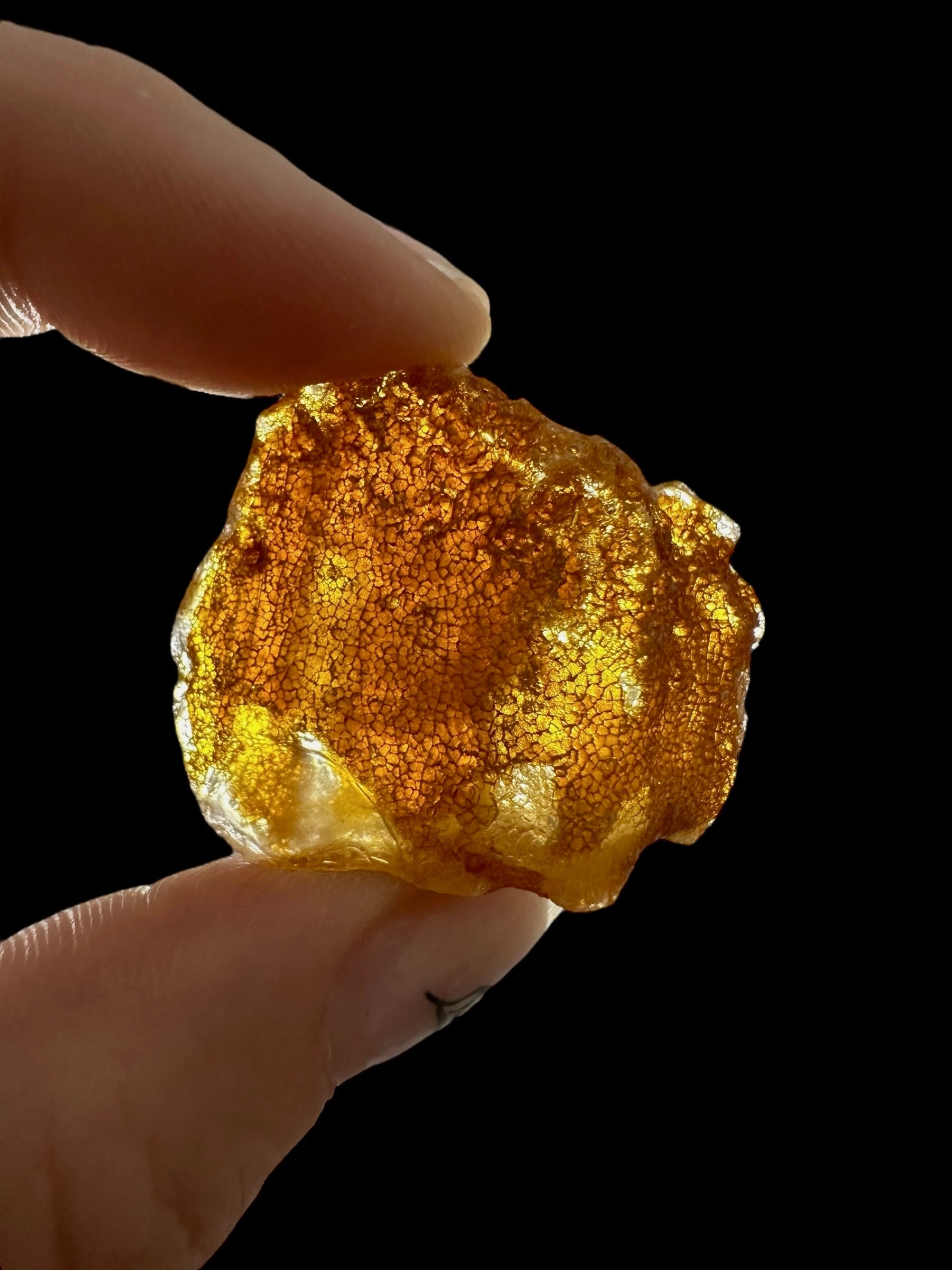 Raw Young Amber (Copal) – Colombia - JN337