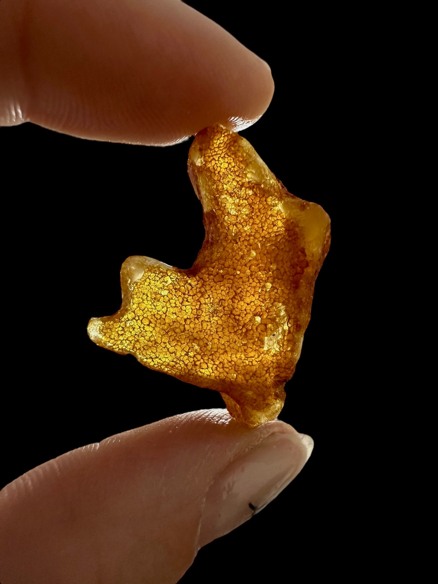 Raw Young Amber (Copal) – Colombia - JN342