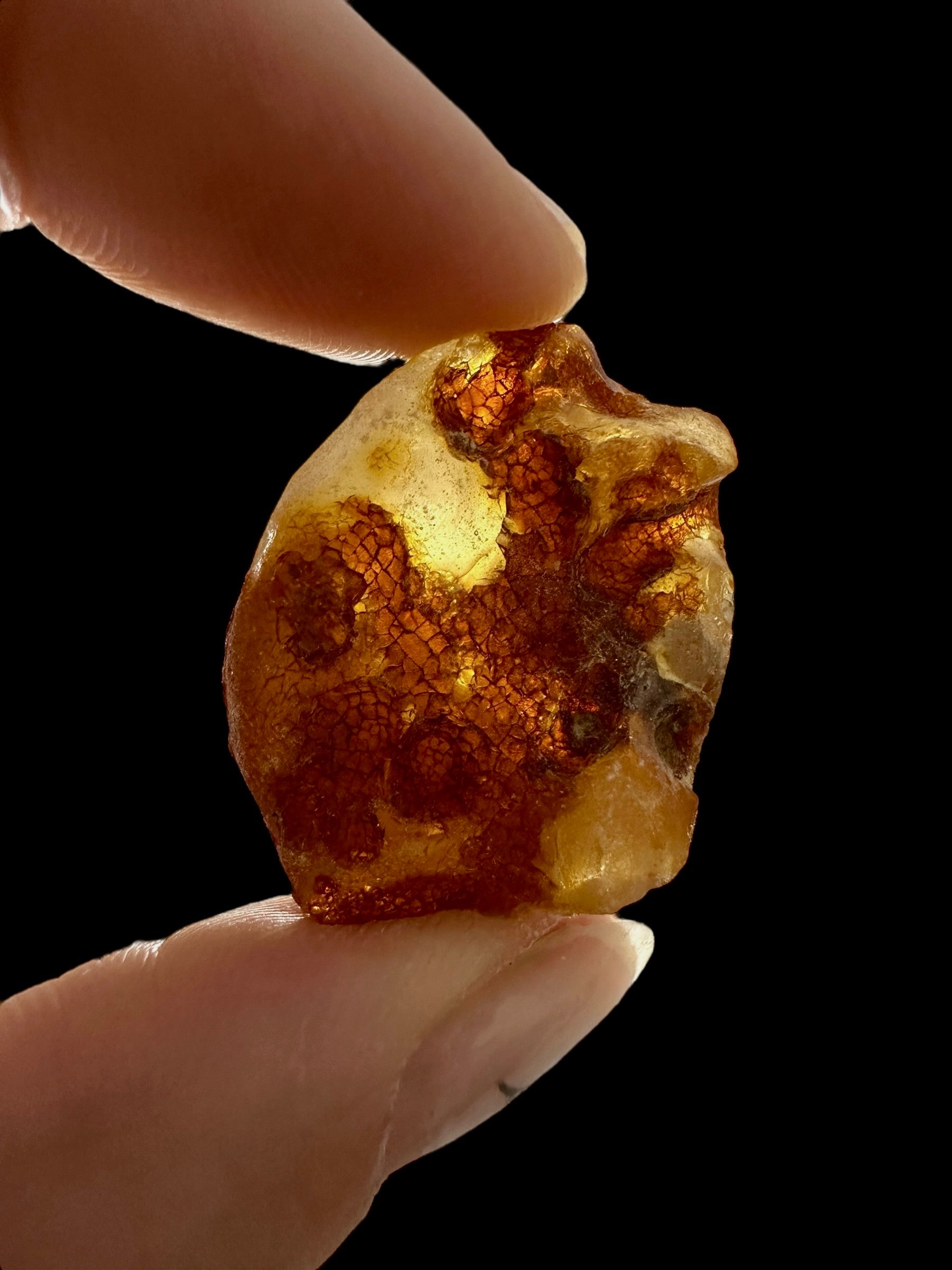 Raw Young Amber (Copal) – Colombia - JN344