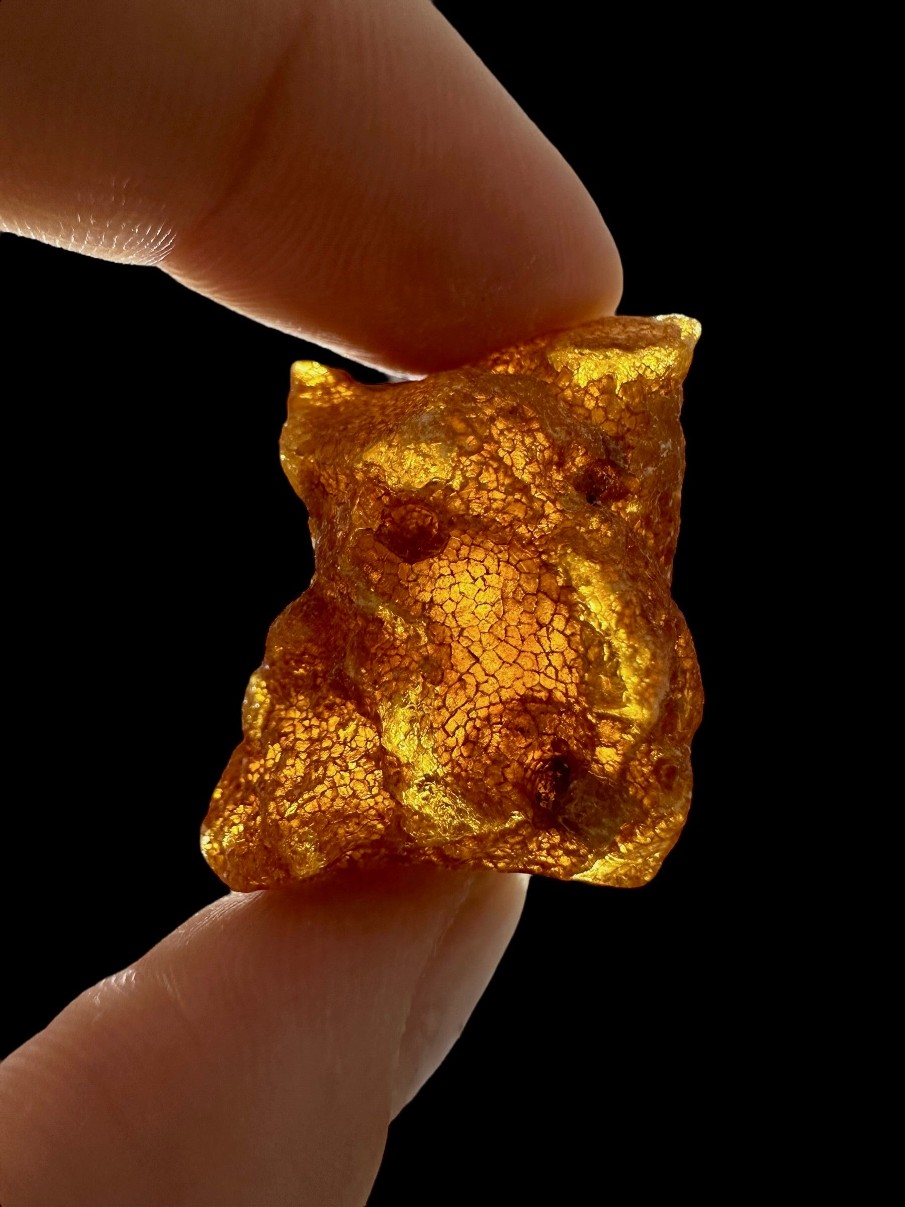 Raw Young Amber (Copal) – Colombia - JN345