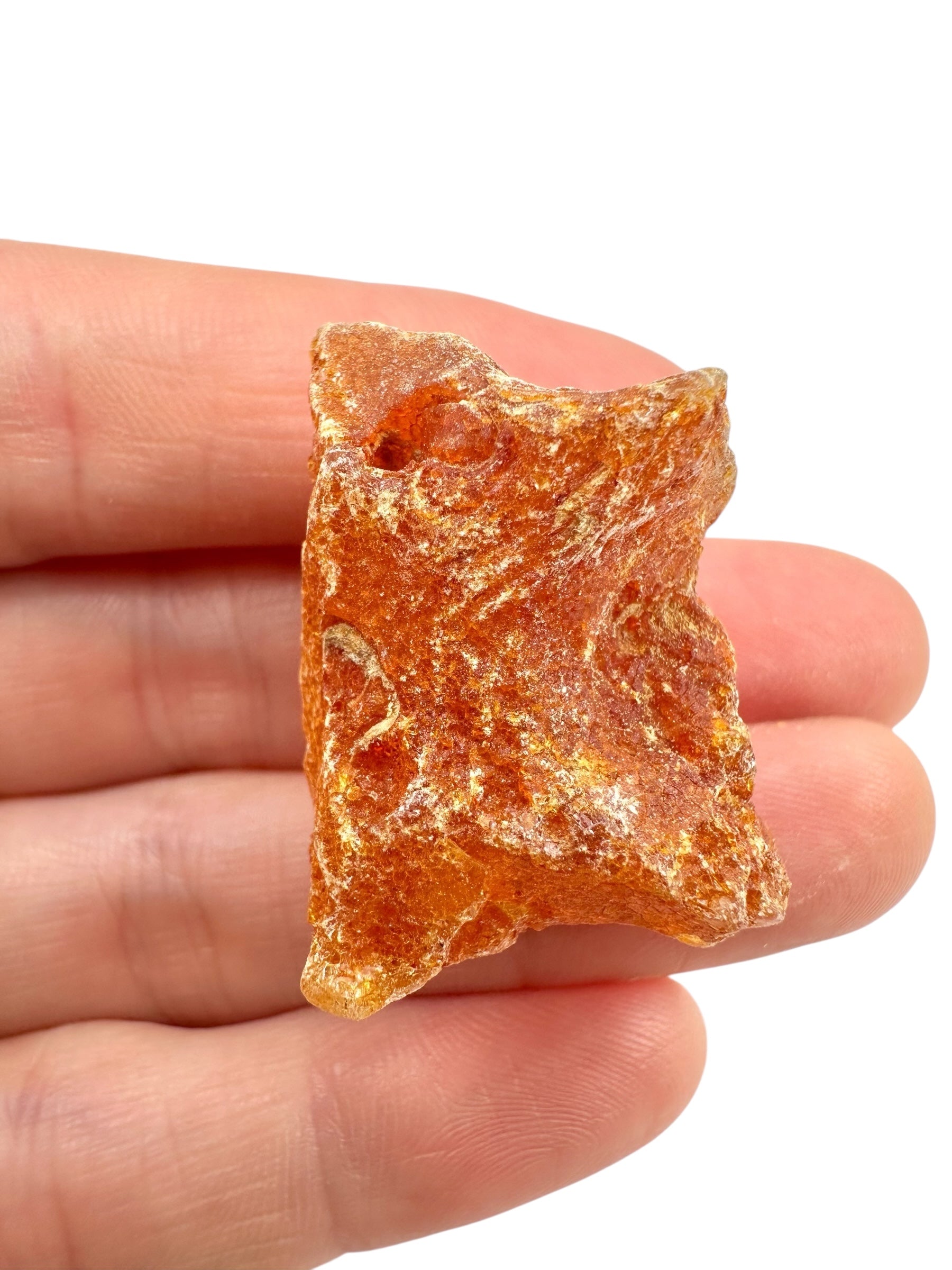 Raw Young Amber (Copal) – Colombia
