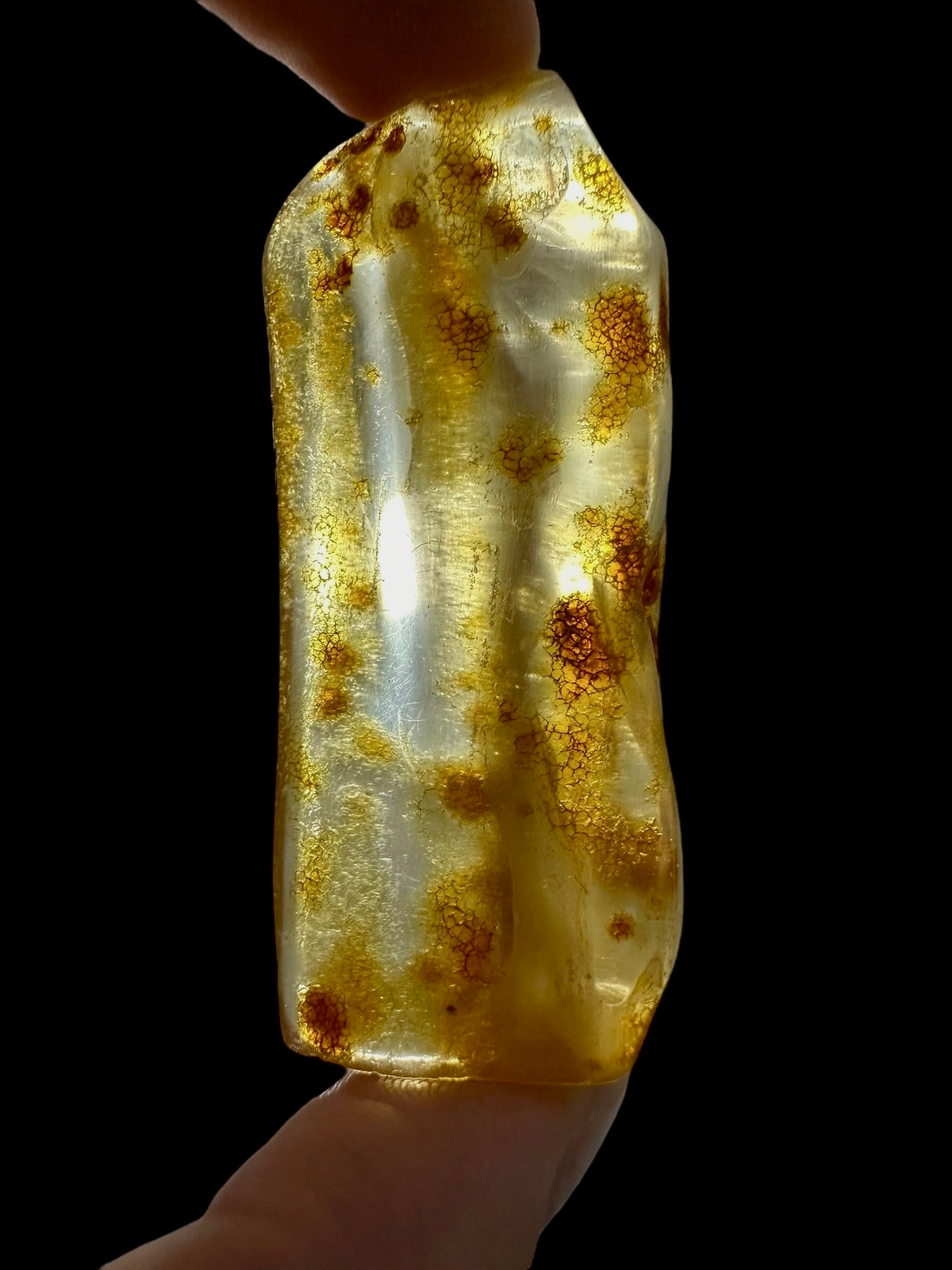 Young Amber (Copal) – Colombia - JN381