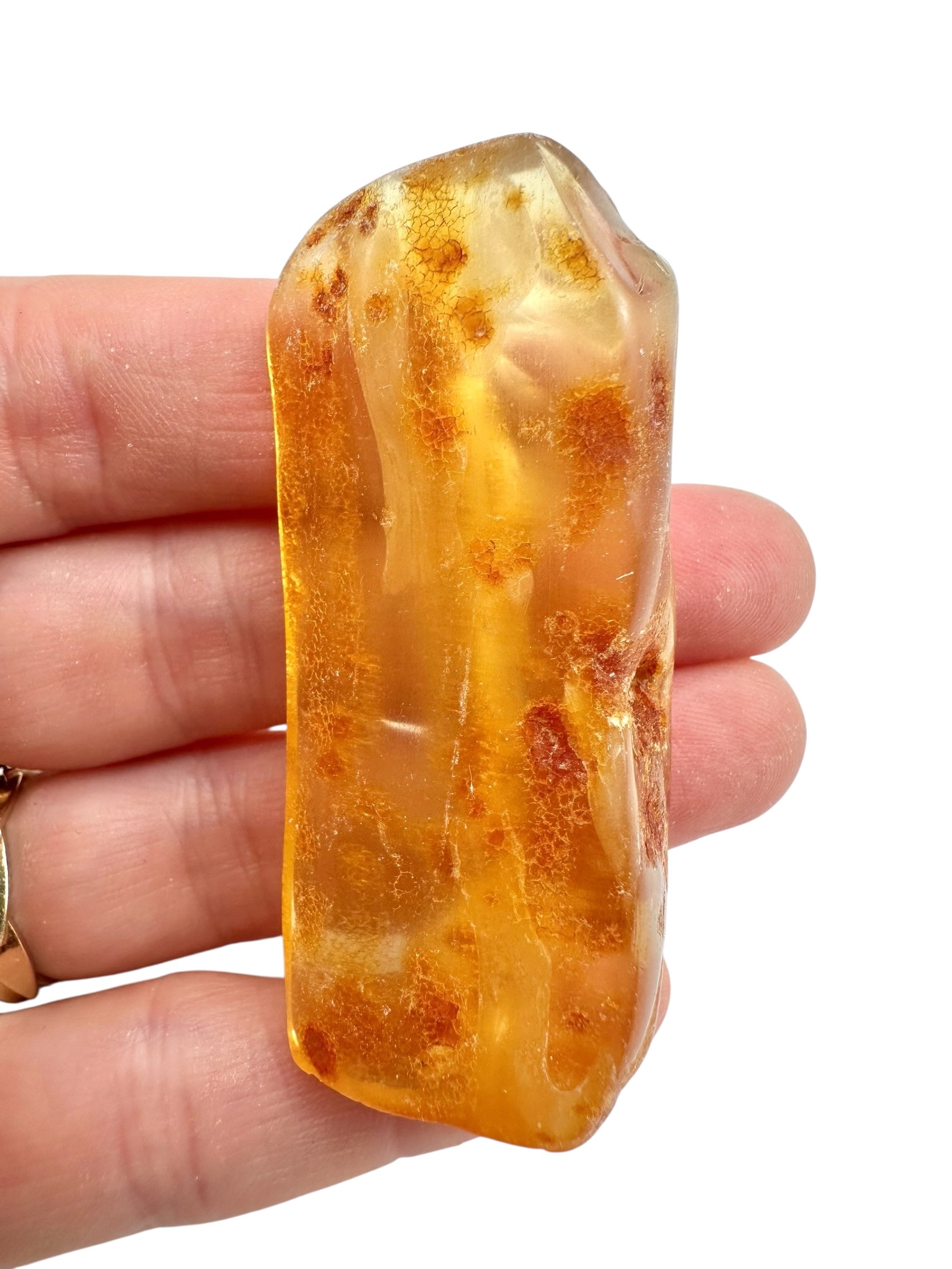 Young Amber (Copal) – Colombia