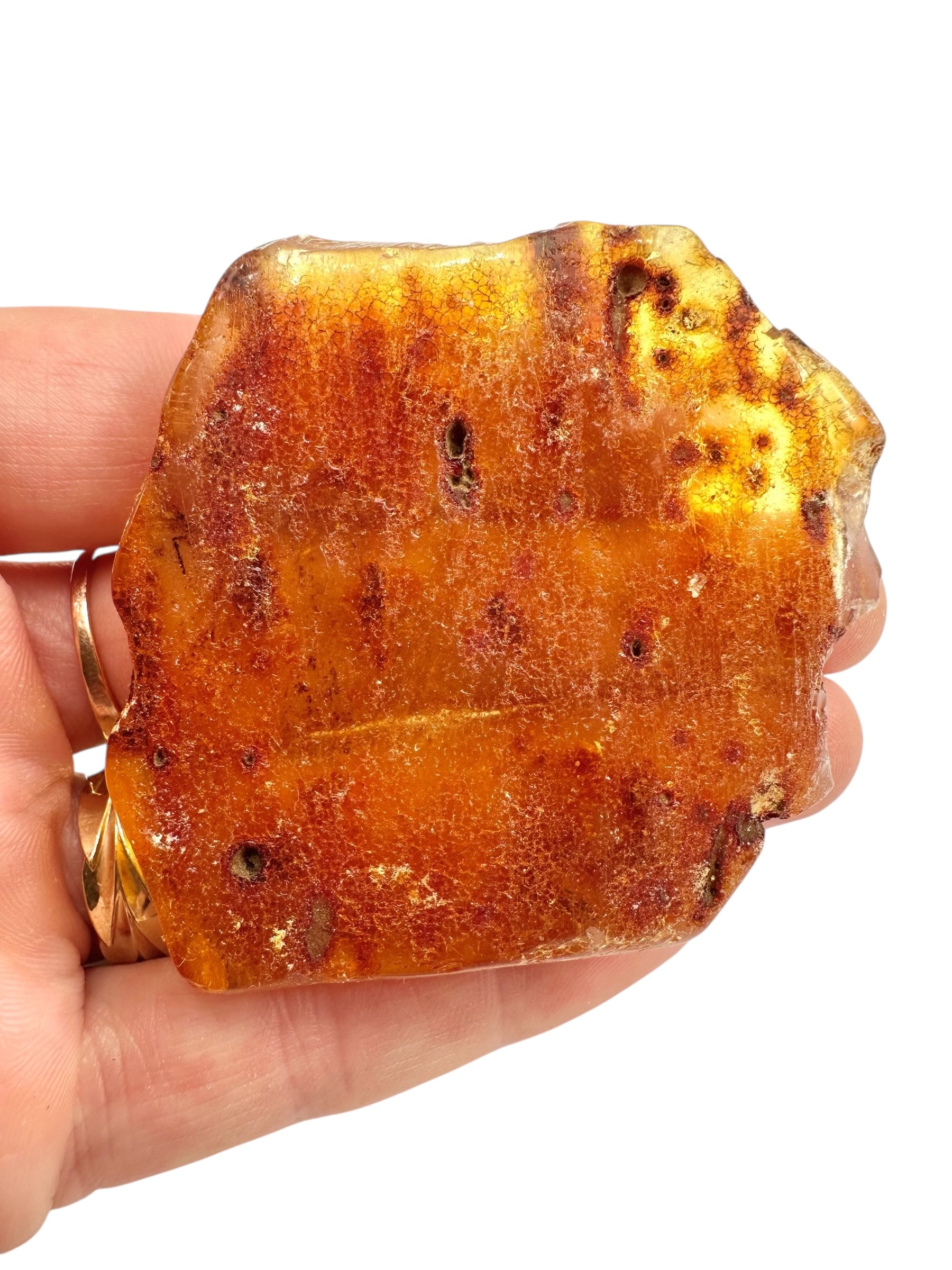 Young Amber (Copal) – Colombia - JN382
