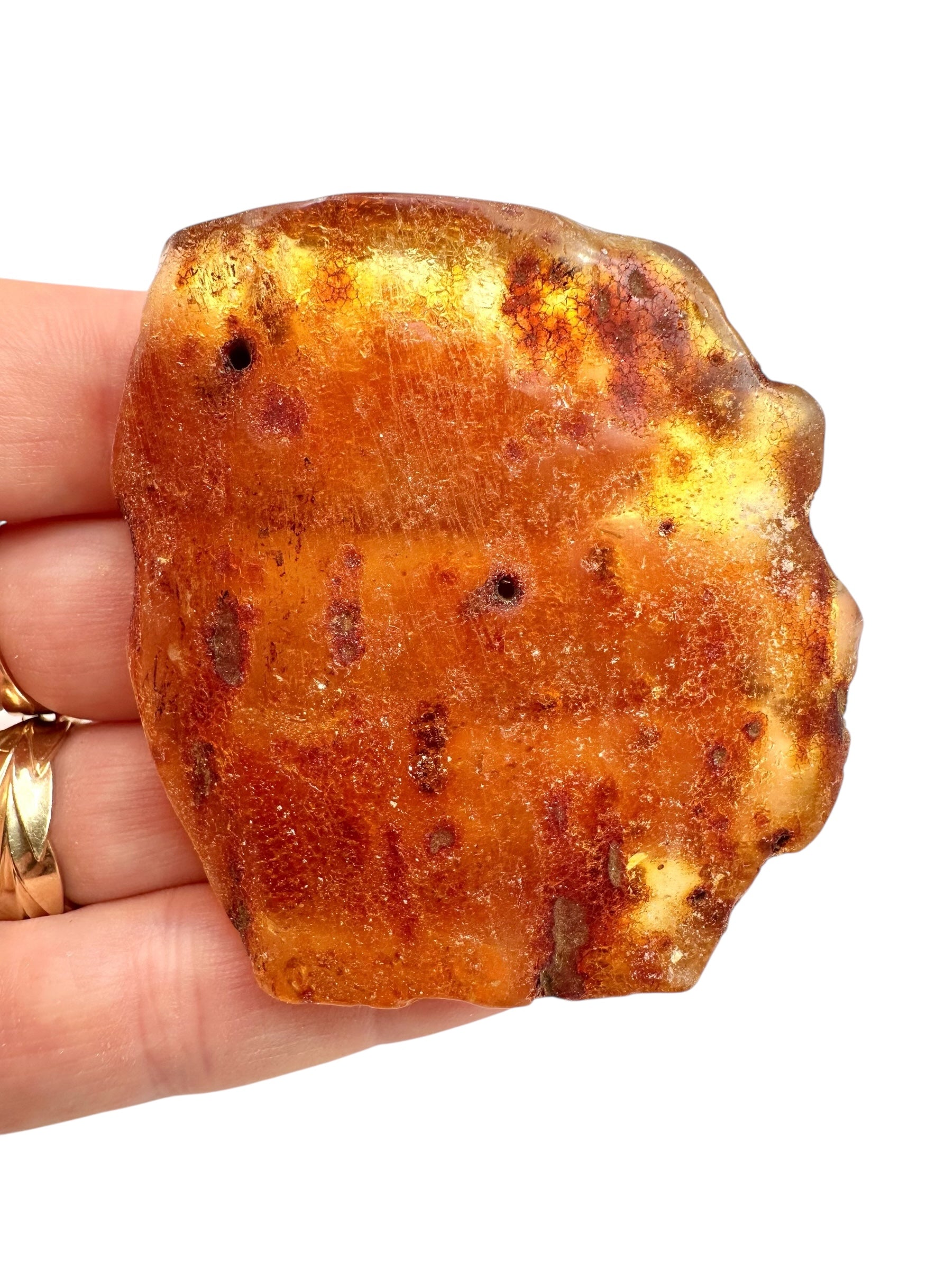 Young Amber (Copal) – Colombia