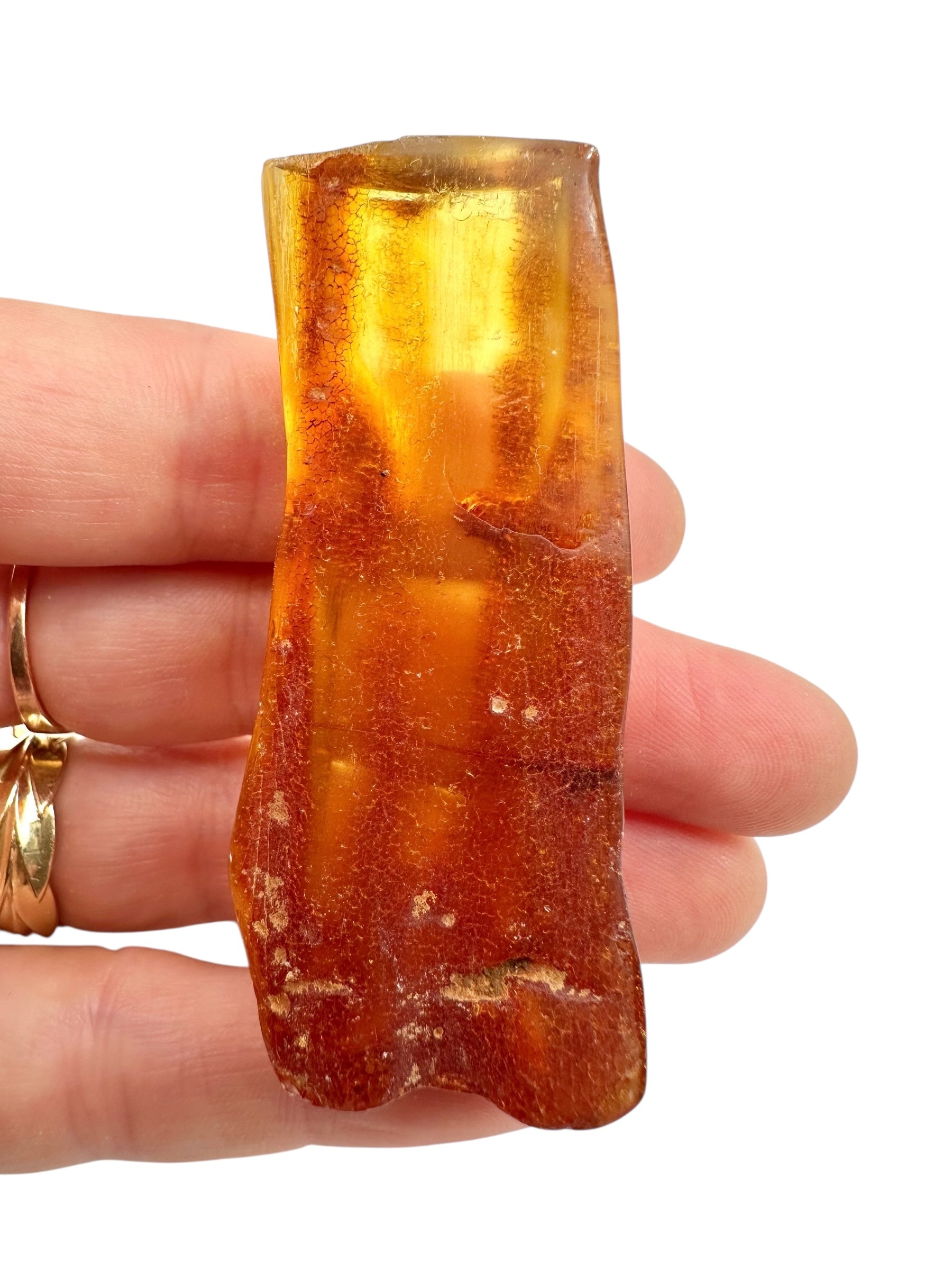Young Amber (Copal) – Colombia - JN383