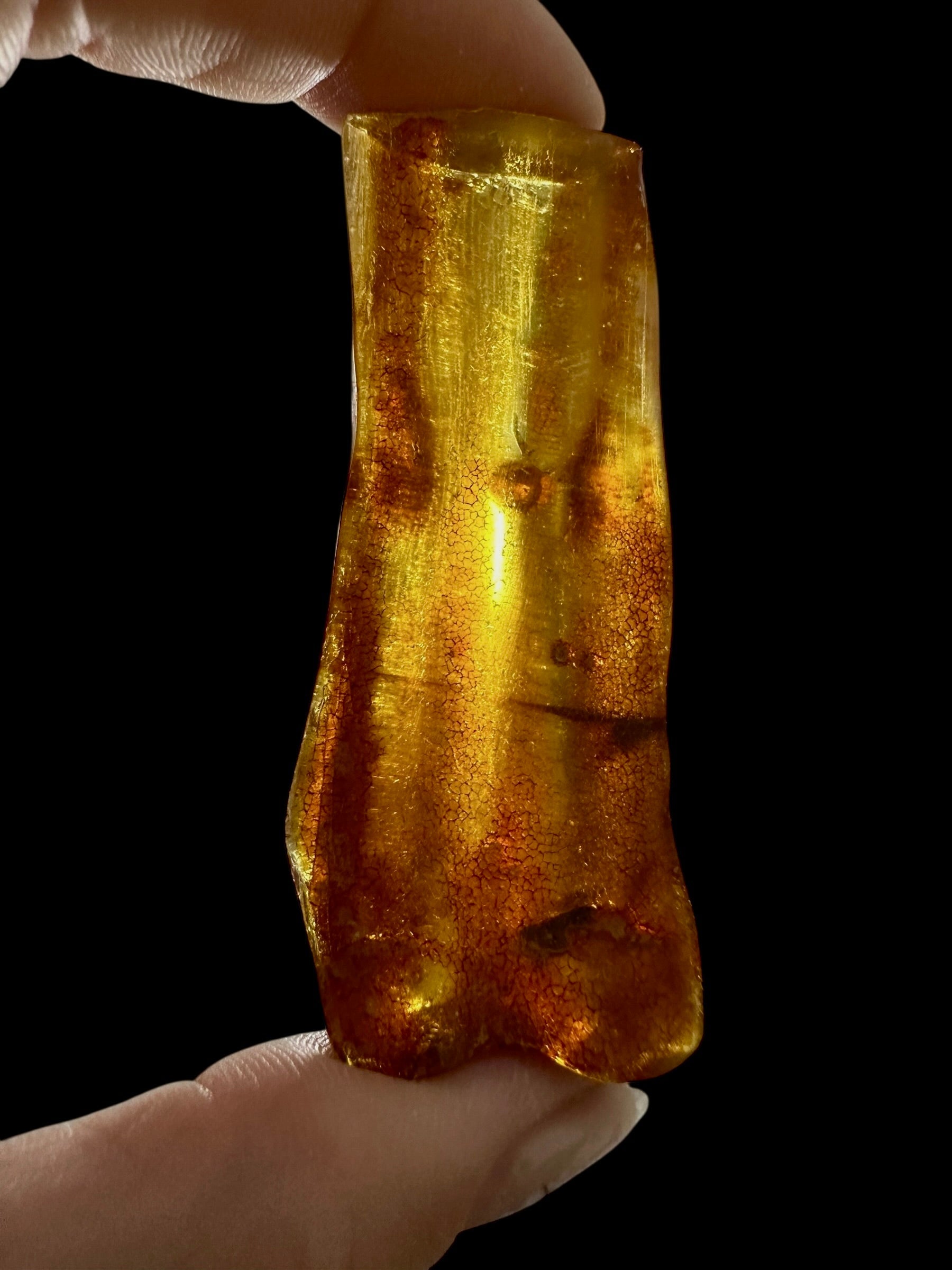 Young Amber (Copal) – Colombia - JN383