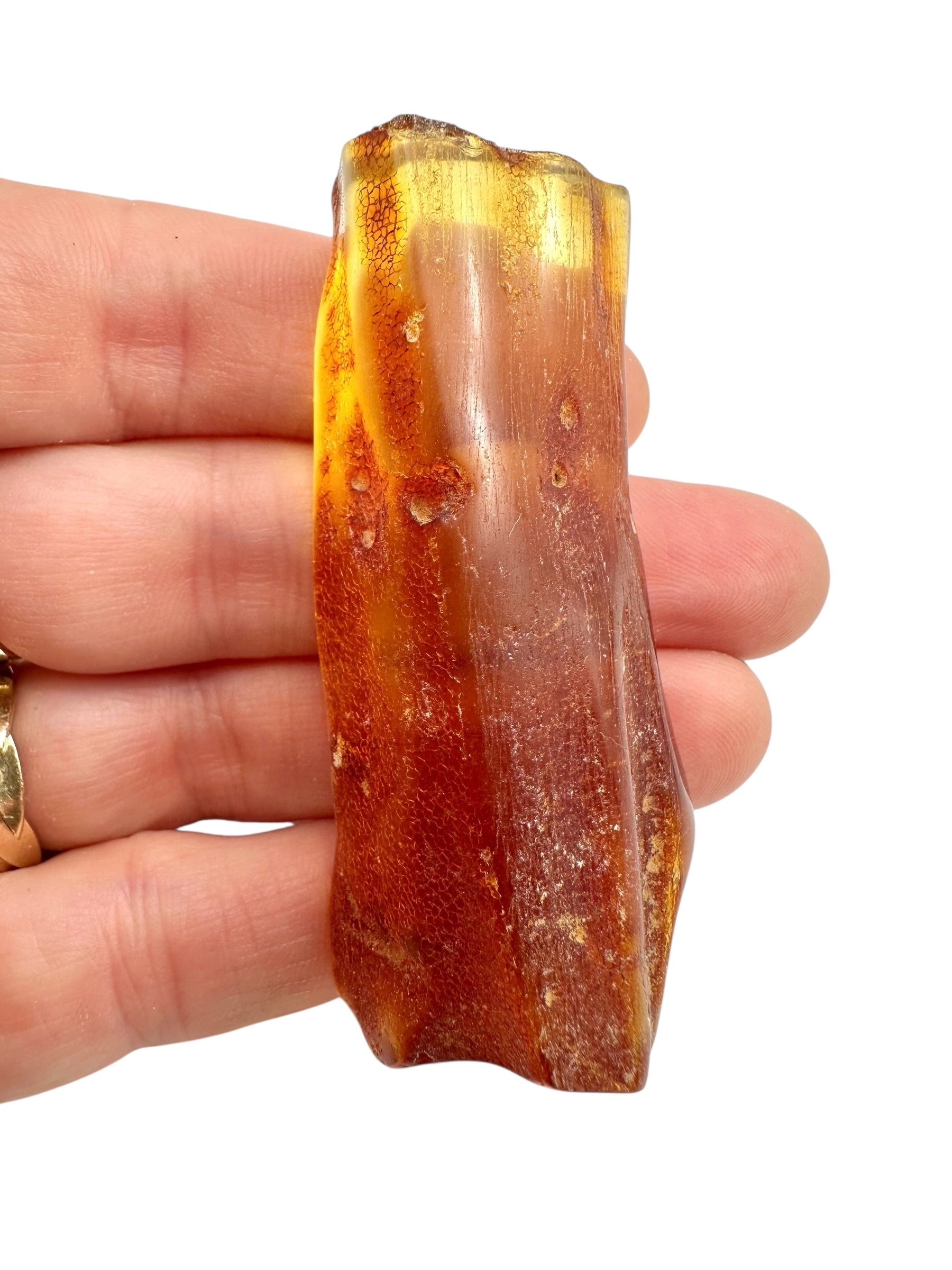 Young Amber (Copal) – Colombia
