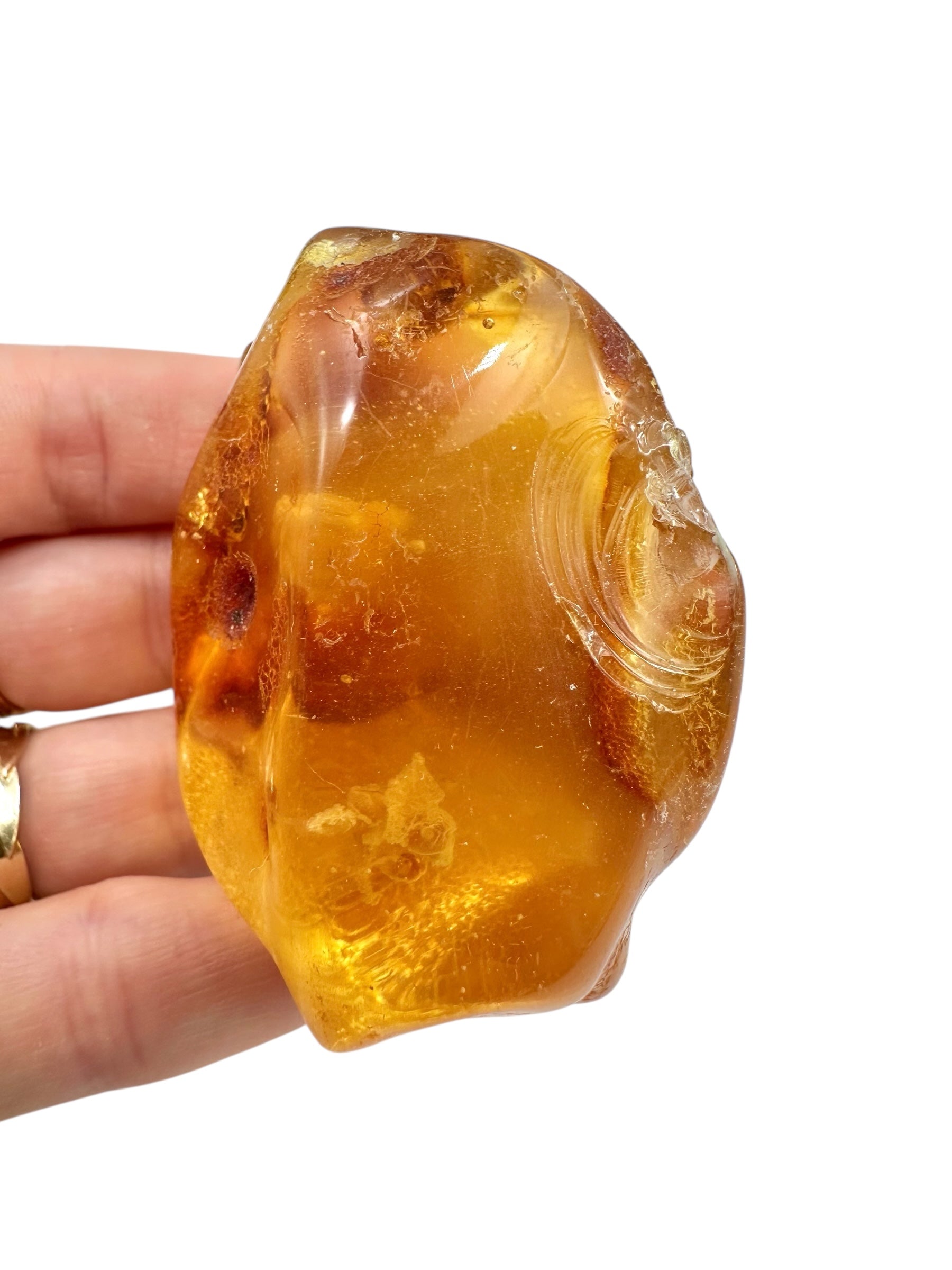 Young Amber (Copal) – Colombia - JN384