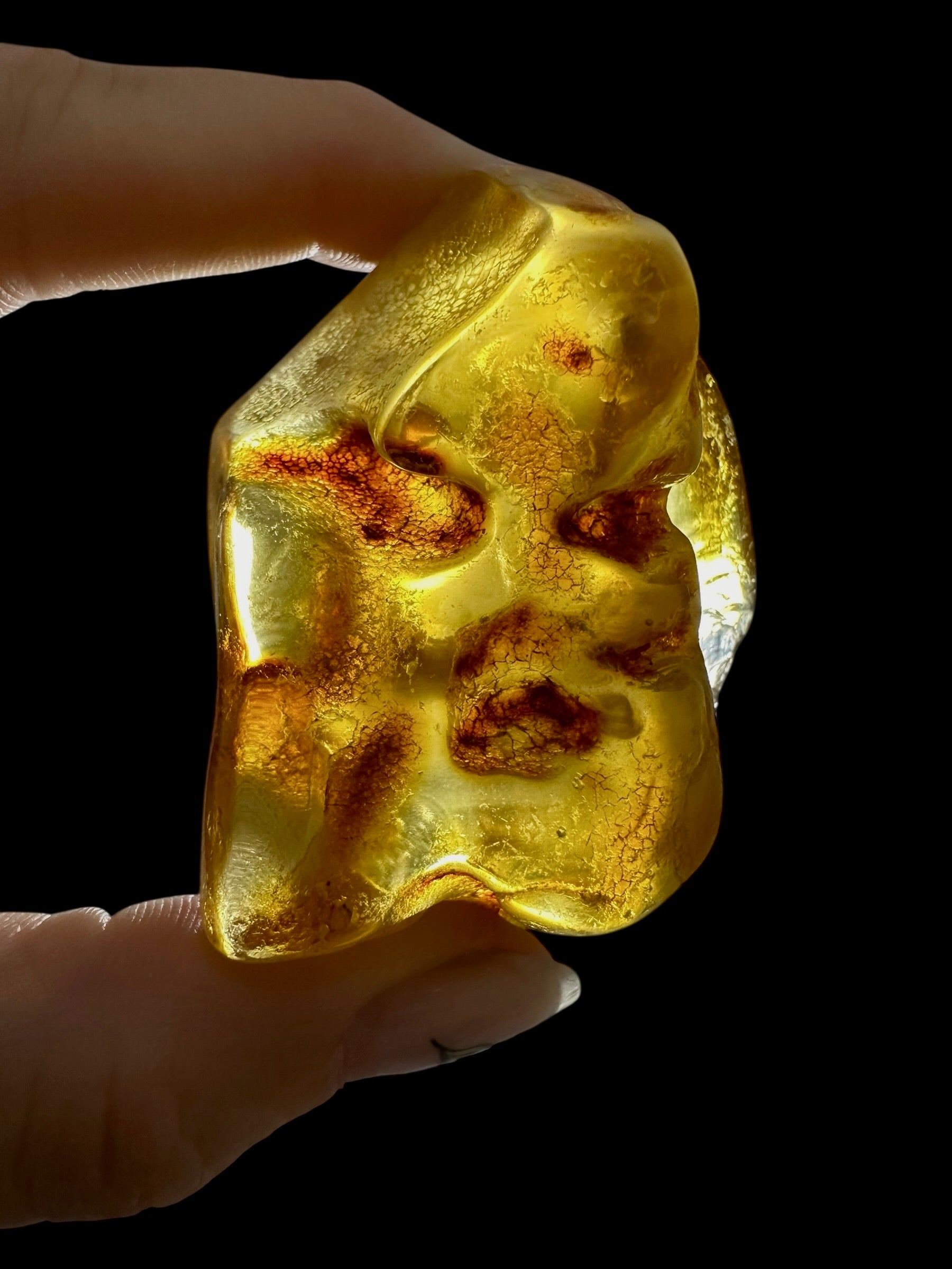 Young Amber (Copal) – Colombia - JN384