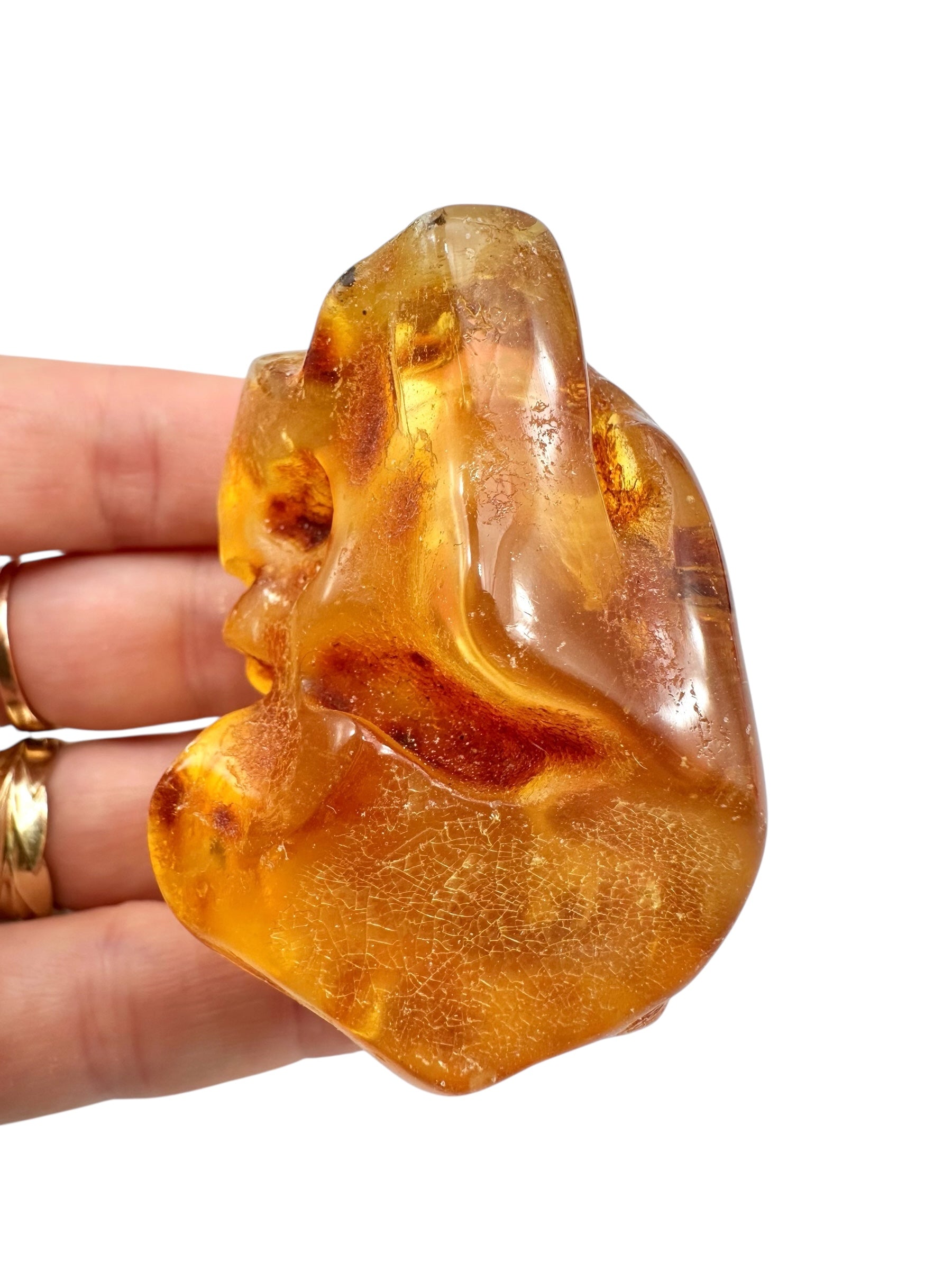Young Amber (Copal) – Colombia