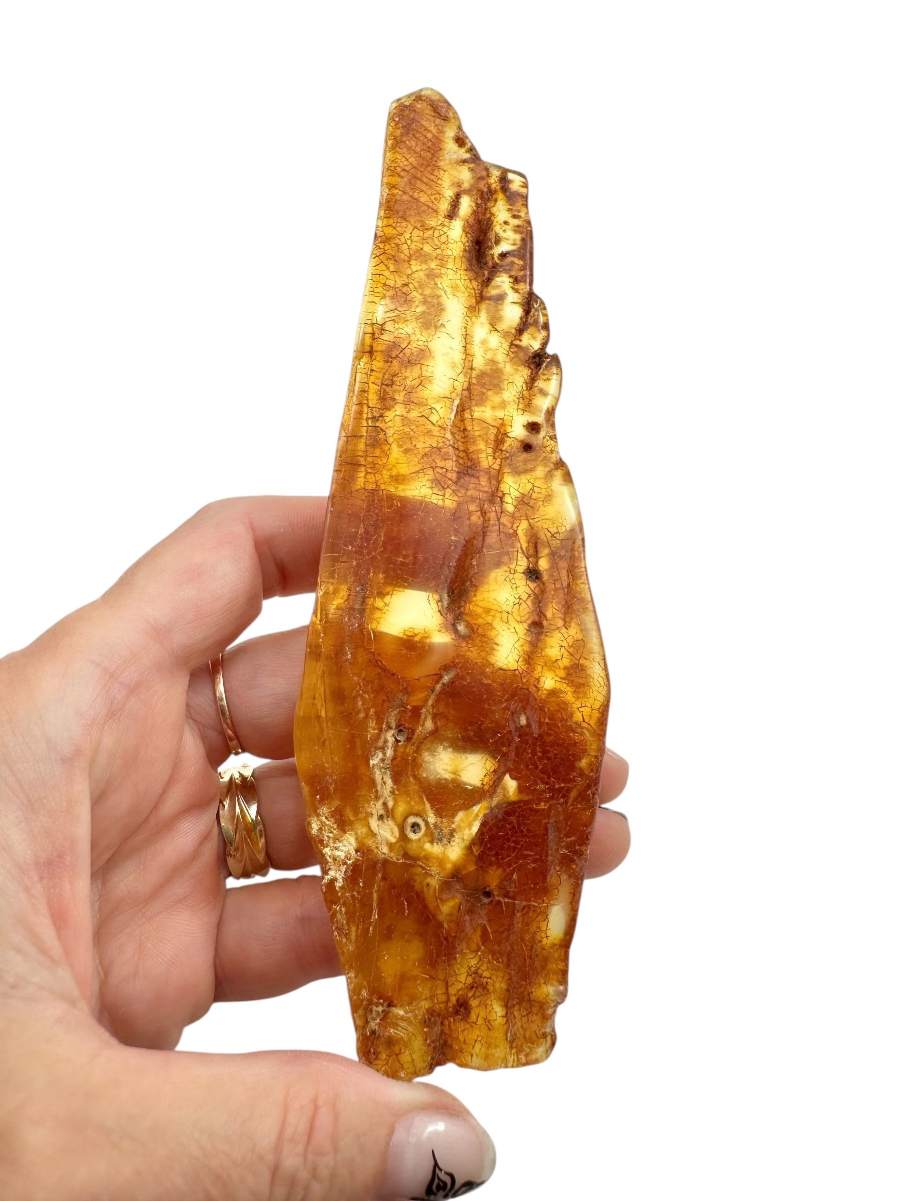 Young Amber (Copal) – Colombia - JN385