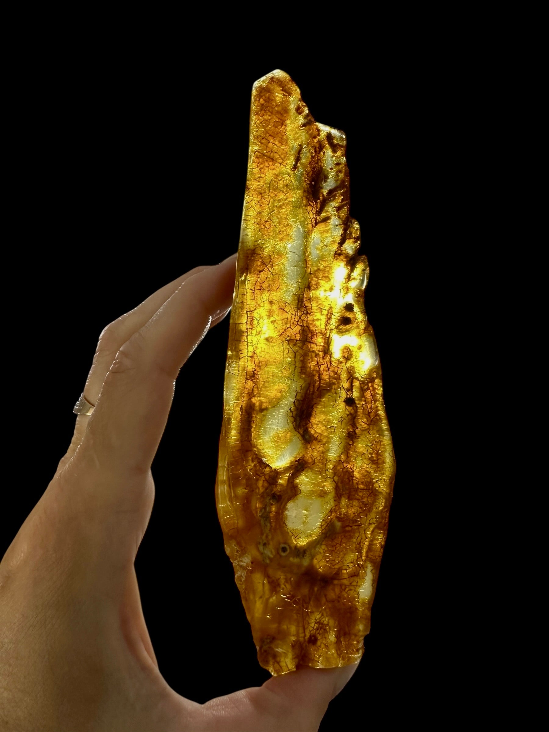 Young Amber (Copal) – Colombia - JN385