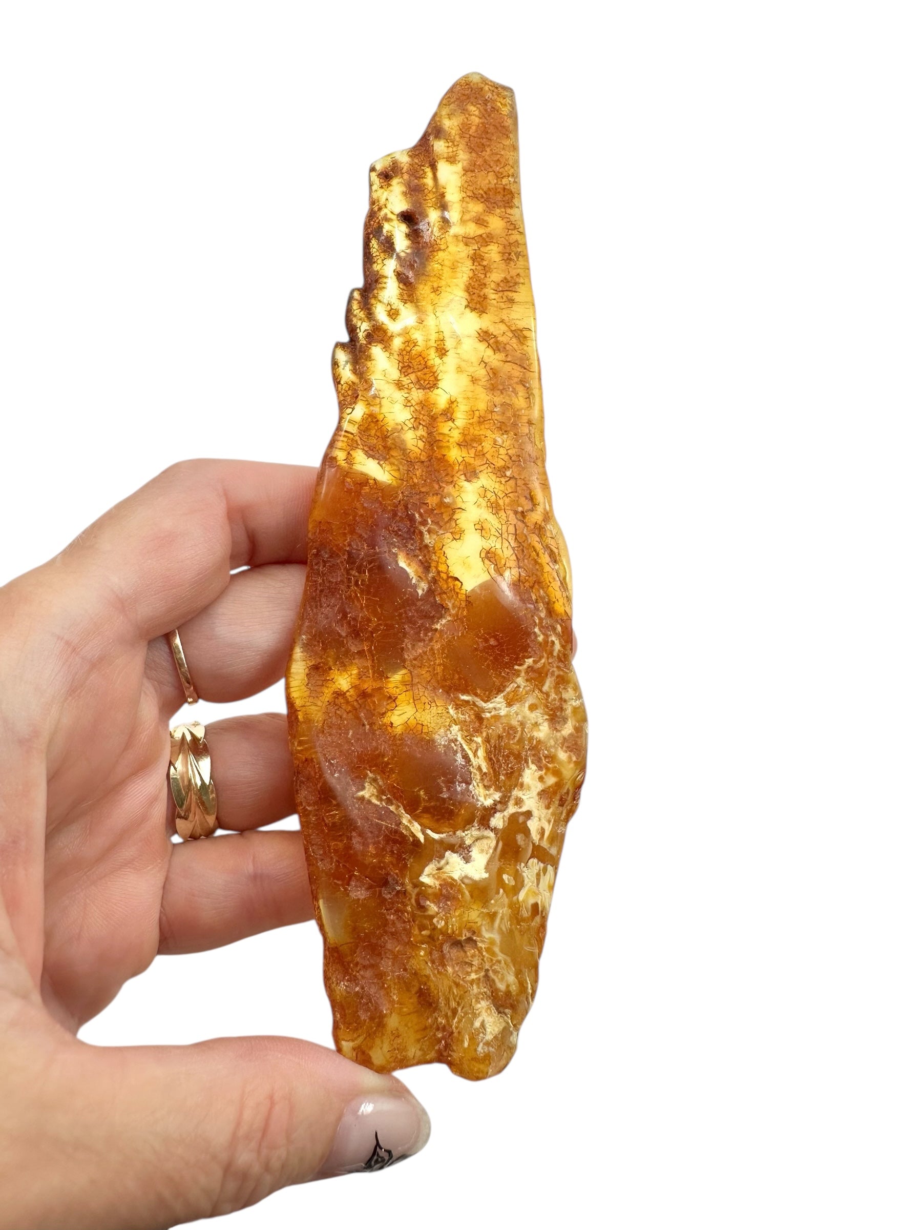 Young Amber (Copal) – Colombia