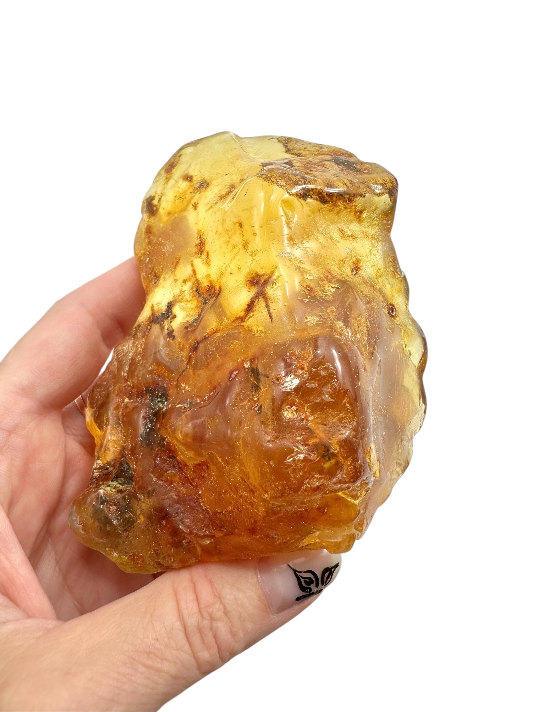 Young Amber (Copal) – Colombia - JN386
