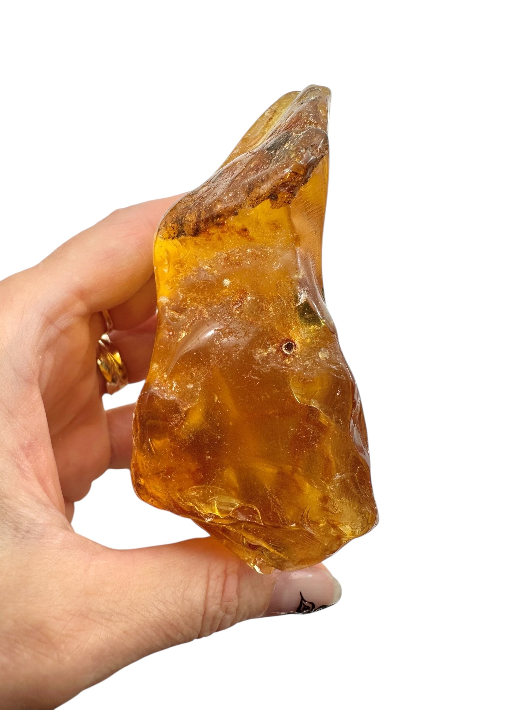 Young Amber (Copal) – Colombia - JN386