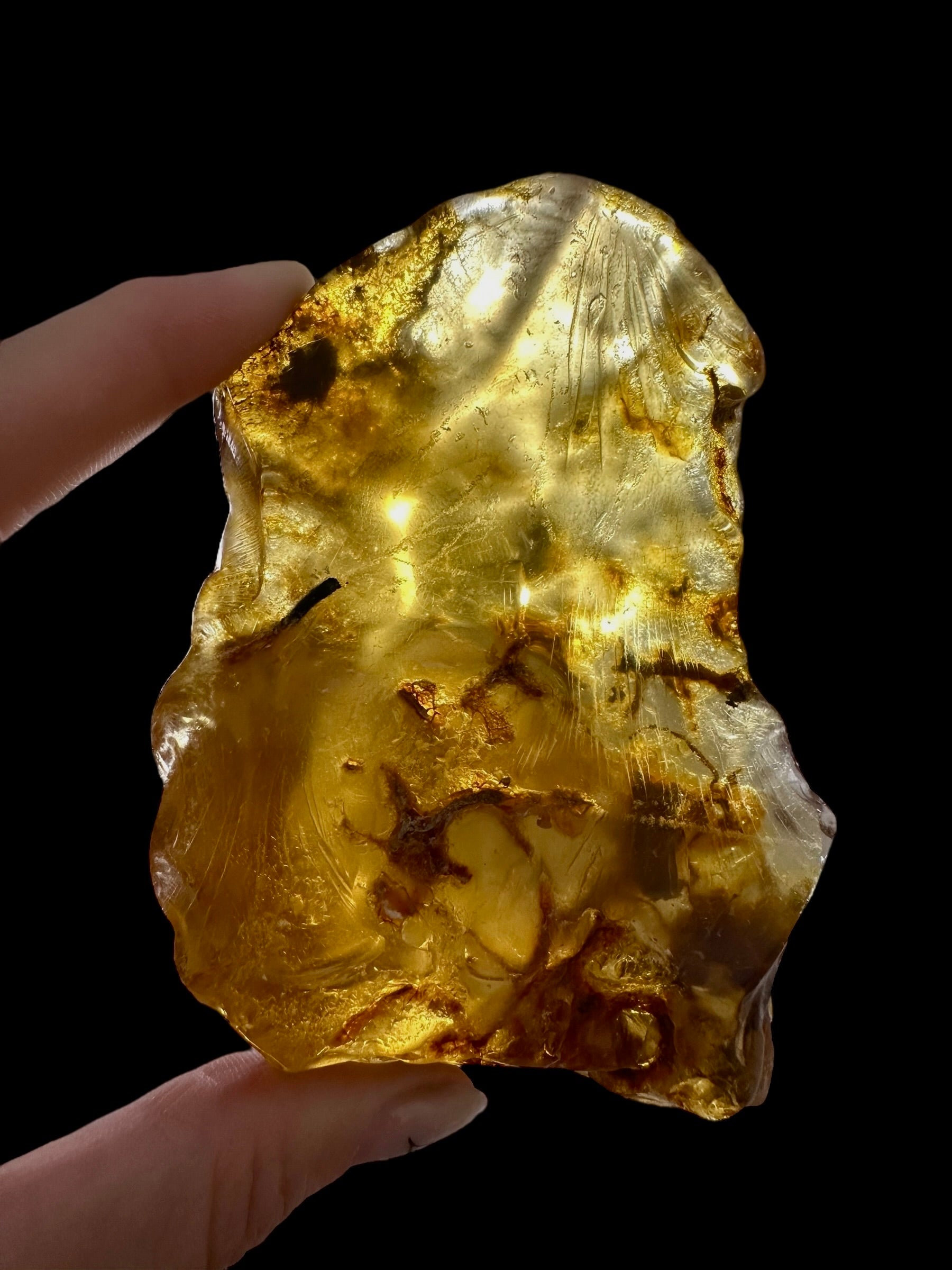 Young Amber (Copal) – Colombia - JN386