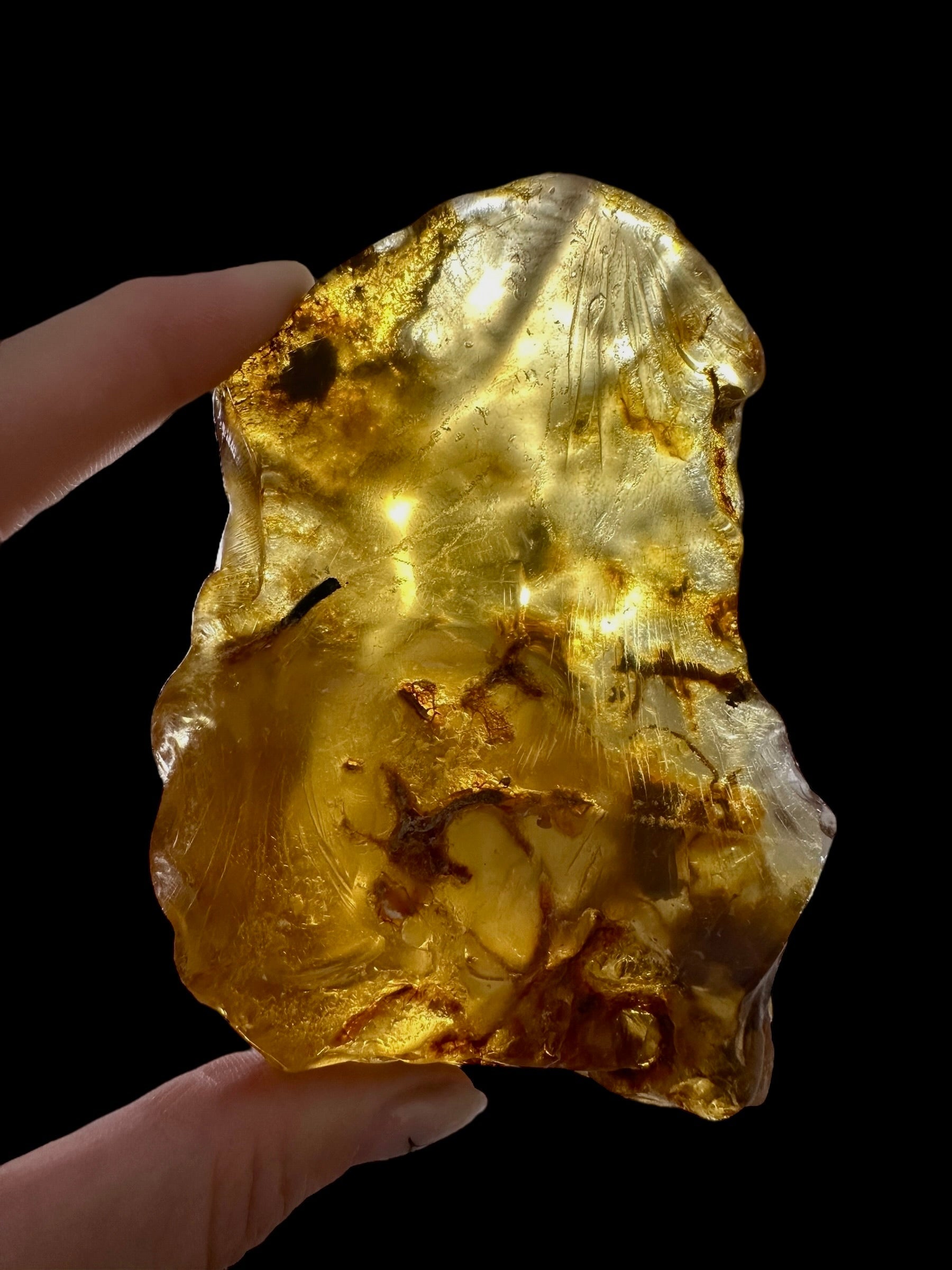 Young Amber (Copal) – Colombia - JN386