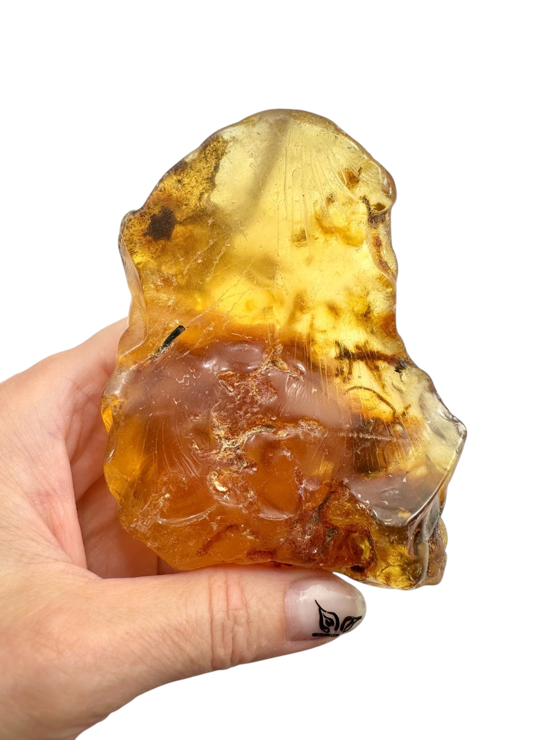 Young Amber (Copal) – Colombia