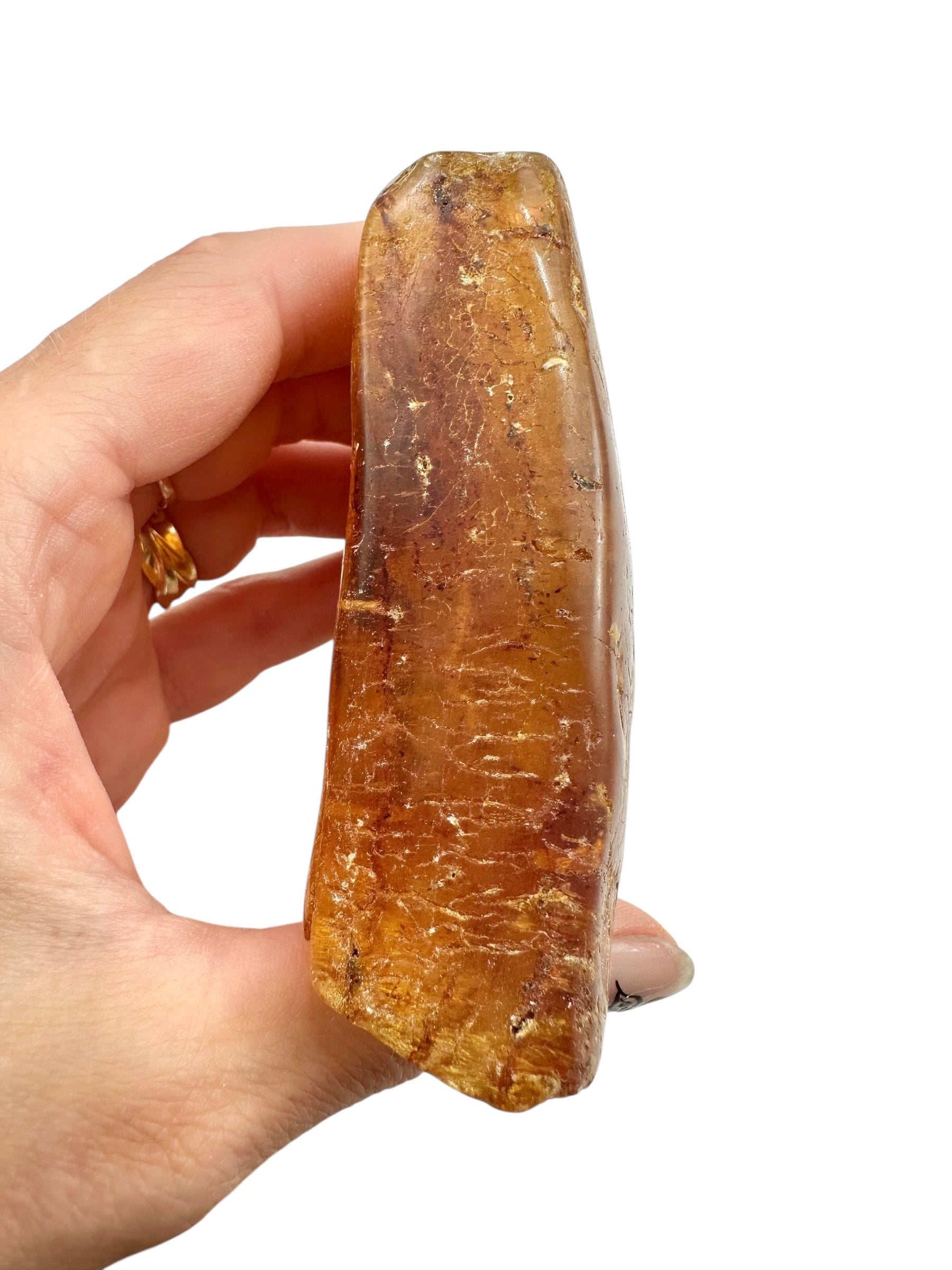 Young Amber (Copal) – Colombia - JN387