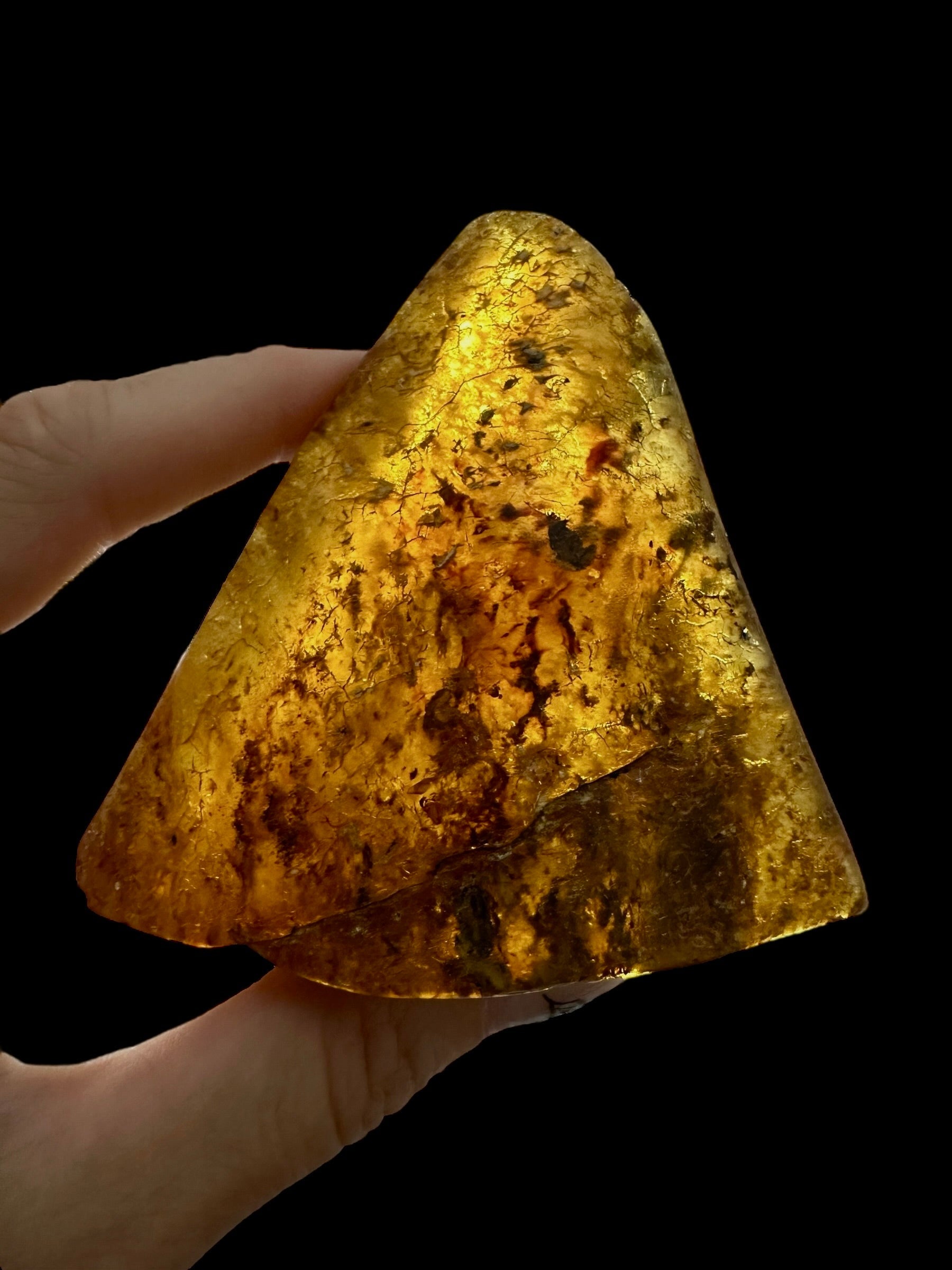 Young Amber (Copal) – Colombia - JN387