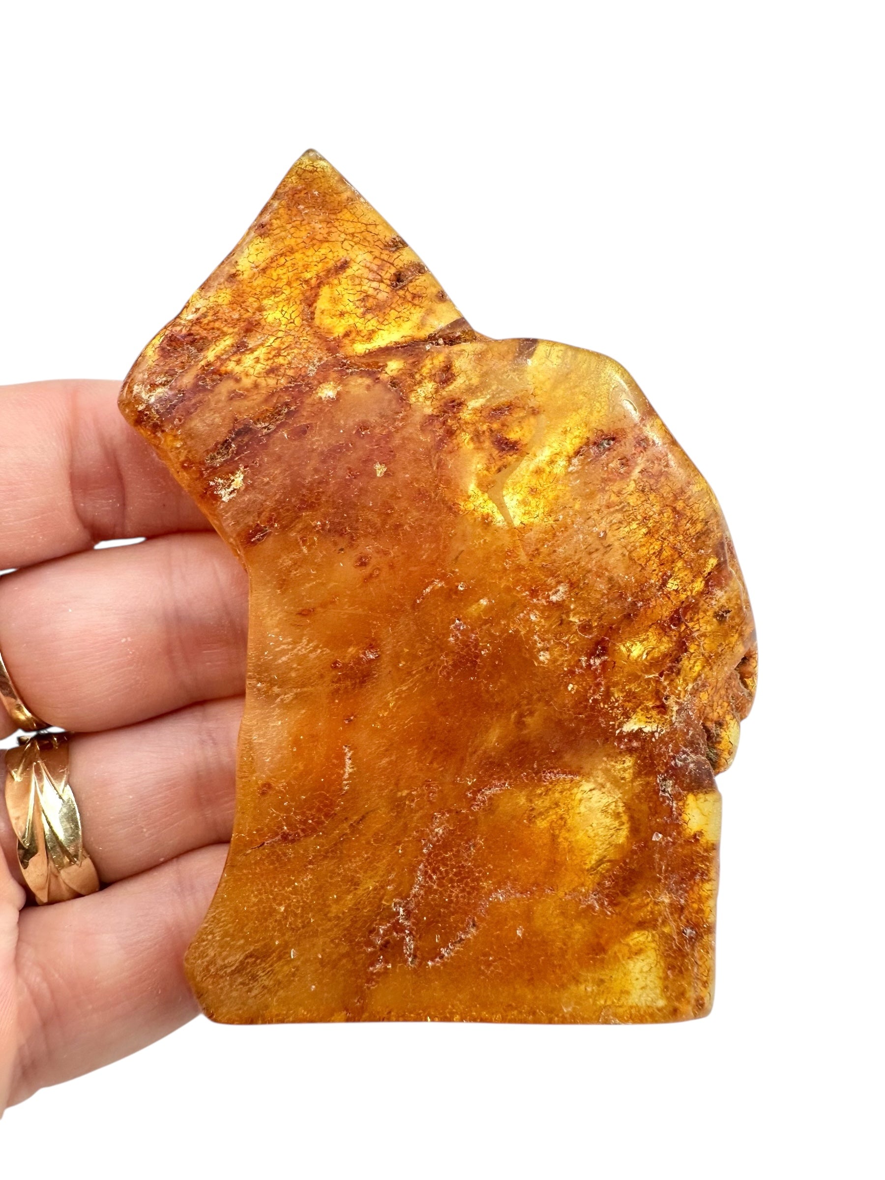 Young Amber (Copal) – Colombia - JN388