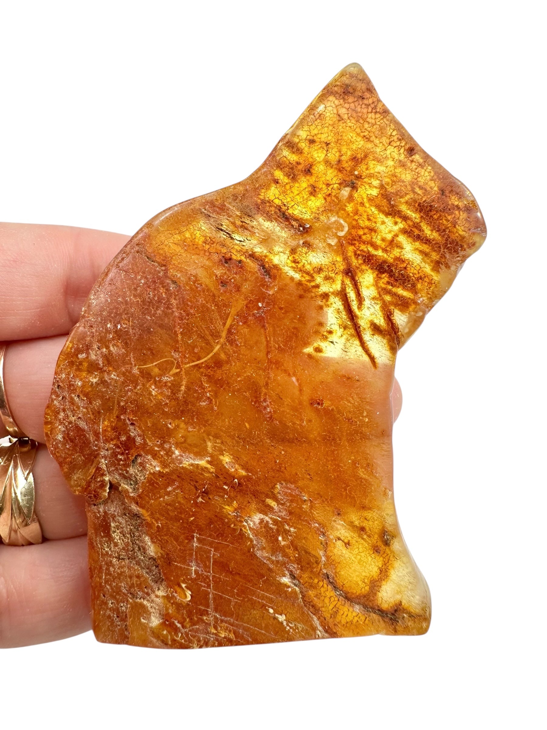 Young Amber (Copal) – Colombia